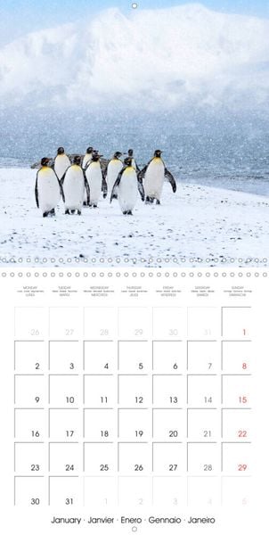 Édition Merveilles de la nature Les caprices de la météo Calendrier