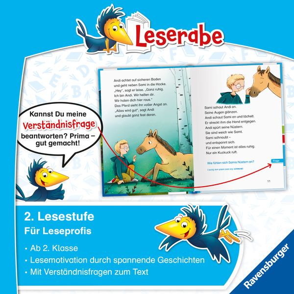 Spannende Pferdegeschichten Lesen Lernen Mit Dem Leseraben