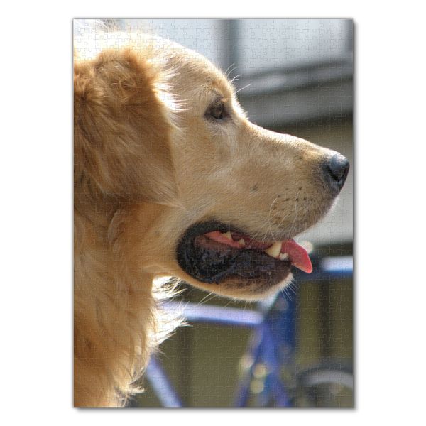 Lais Puzzle Golden Retriever Teile Kaufen Spielwaren