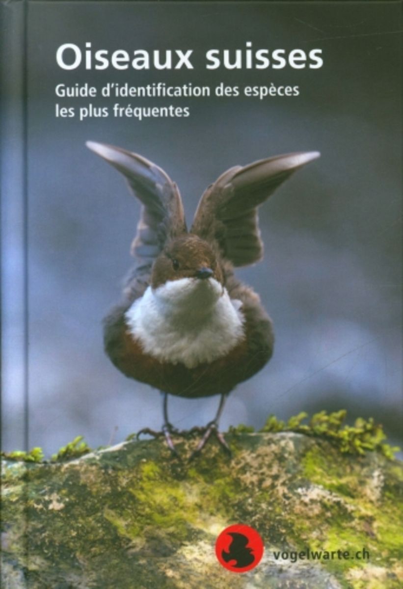 Oiseaux Suisses Von Livio Rey Gebundene Ausgabe 978 3 85949