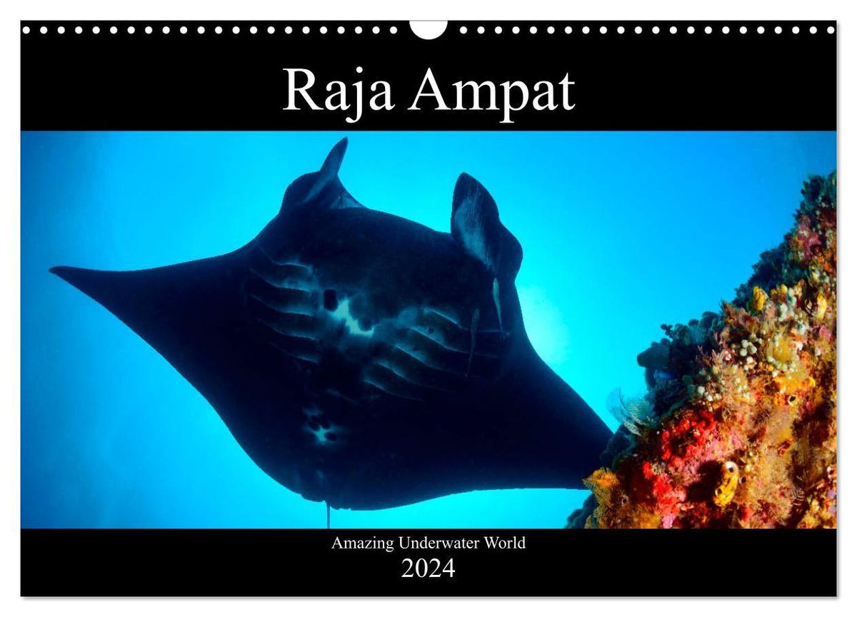 Raja Ampat Amazing Underwater World Wall Calendar 2024 DIN A3