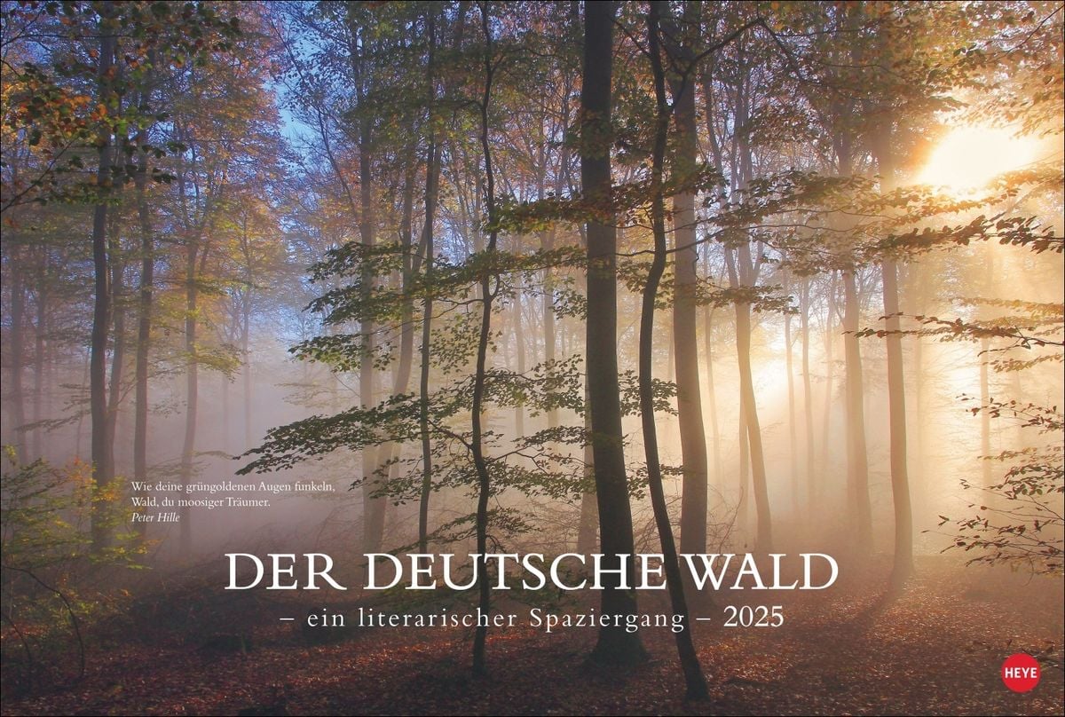 Der Deutsche Wald Ein Literarischer Spaziergang Kalender 2025 Ein