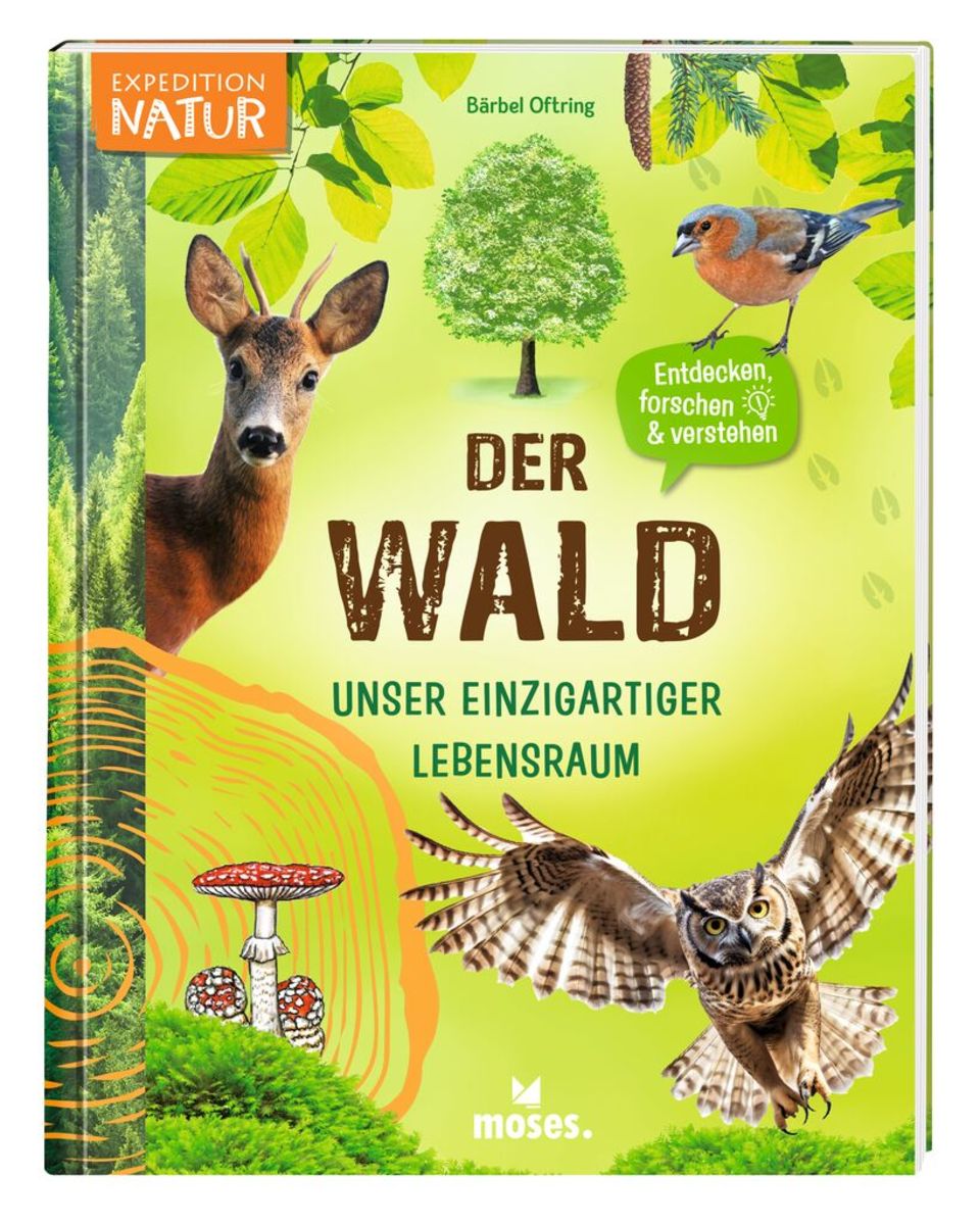 Der Wald Von B Rbel Oftring Buch