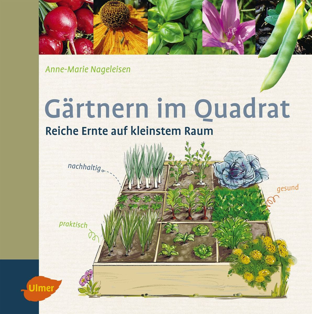 G Rtnern Im Quadrat Von Anne Marie Nageleisen Buch