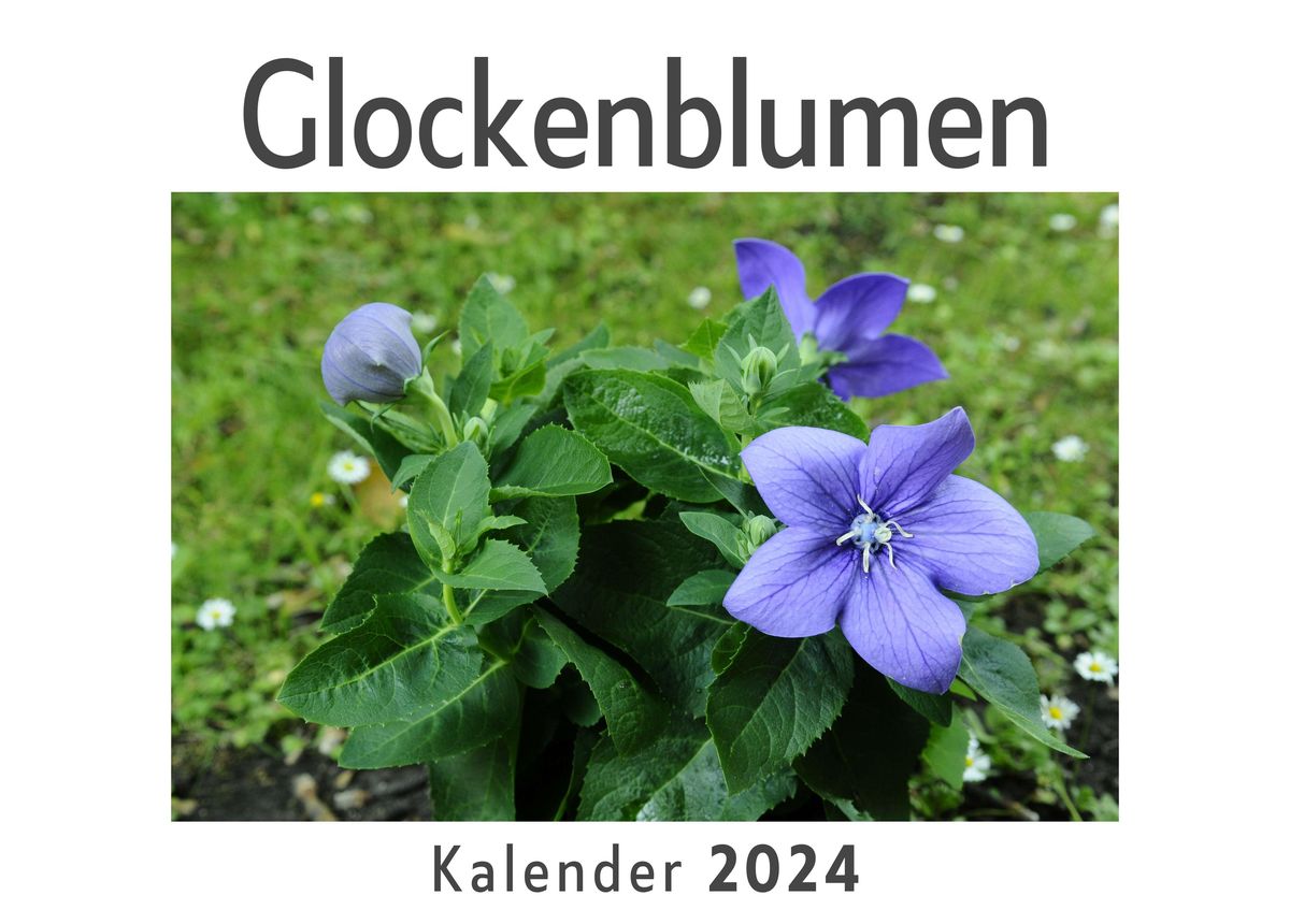 Glockenblumen Wandkalender 2024 Kalender DIN A4 Quer Monatskalender