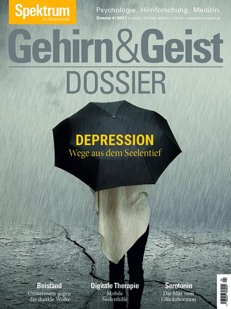 Gehirn Geist Dossier Depression Von Spektrum Der Wissenschaft EBook