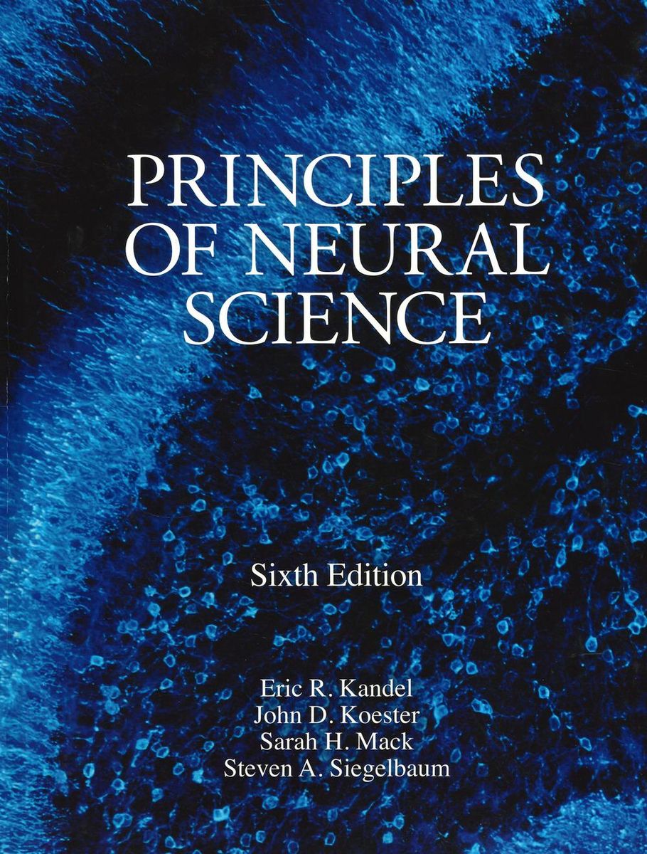 Principles Of Neural Science Sixth Edition Von Eric Kandel