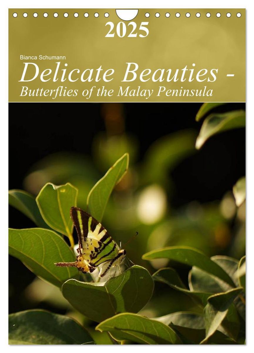 Delicate Beauties Butterflies Of The Malay Peninsula Wall Calendar