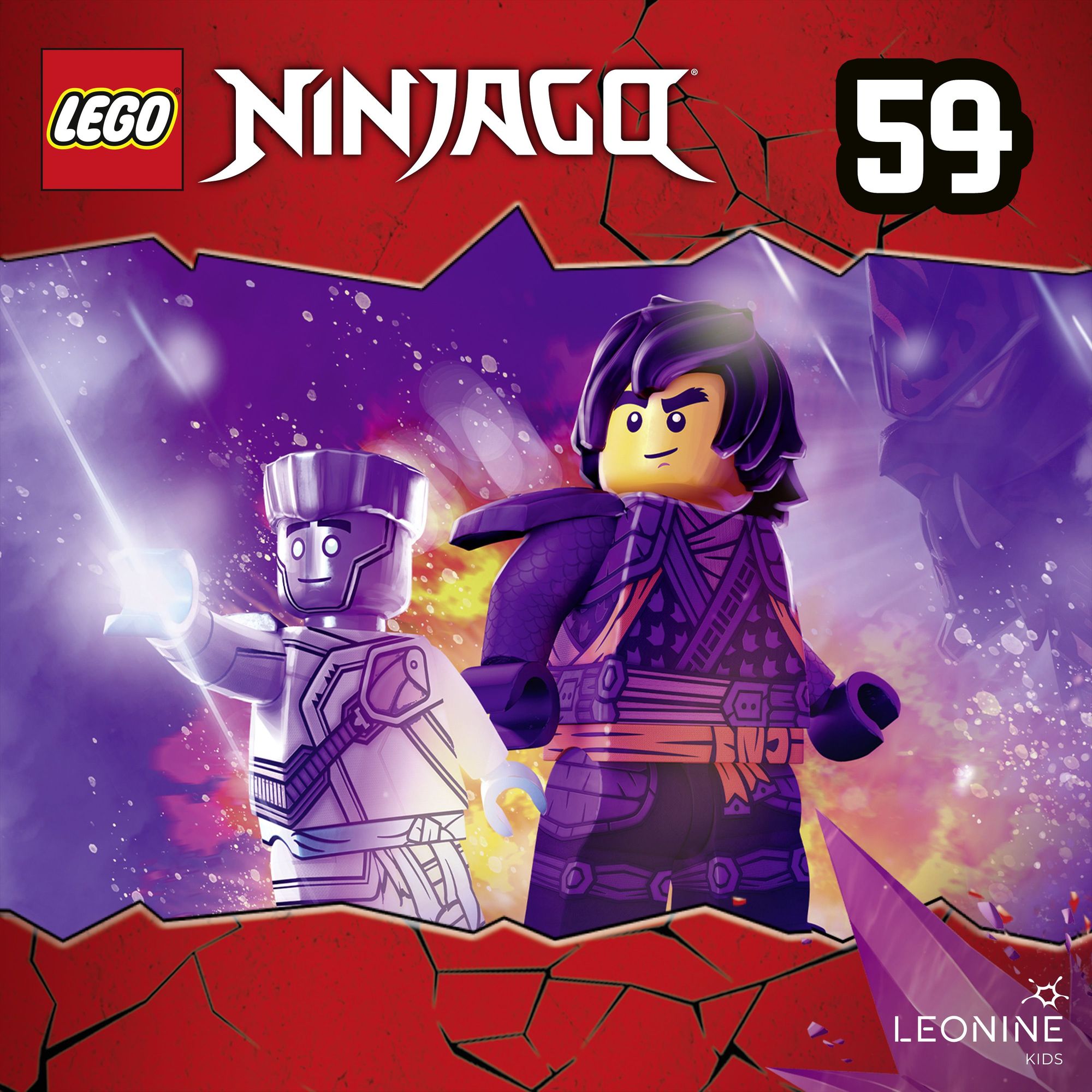 Lego store ninjago 201