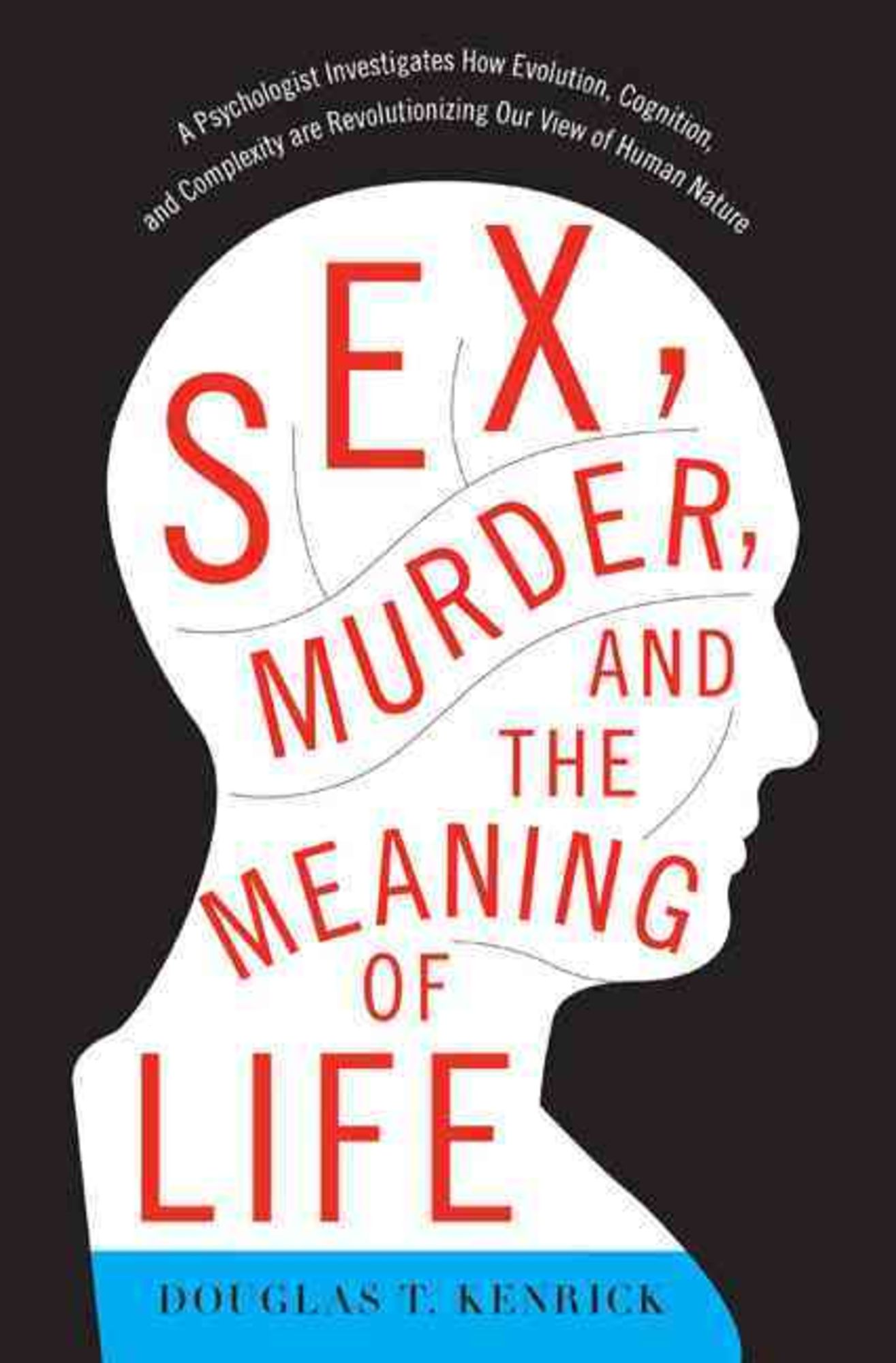 Sex Murder and the Meaning of Life A Psychologist Investigates  