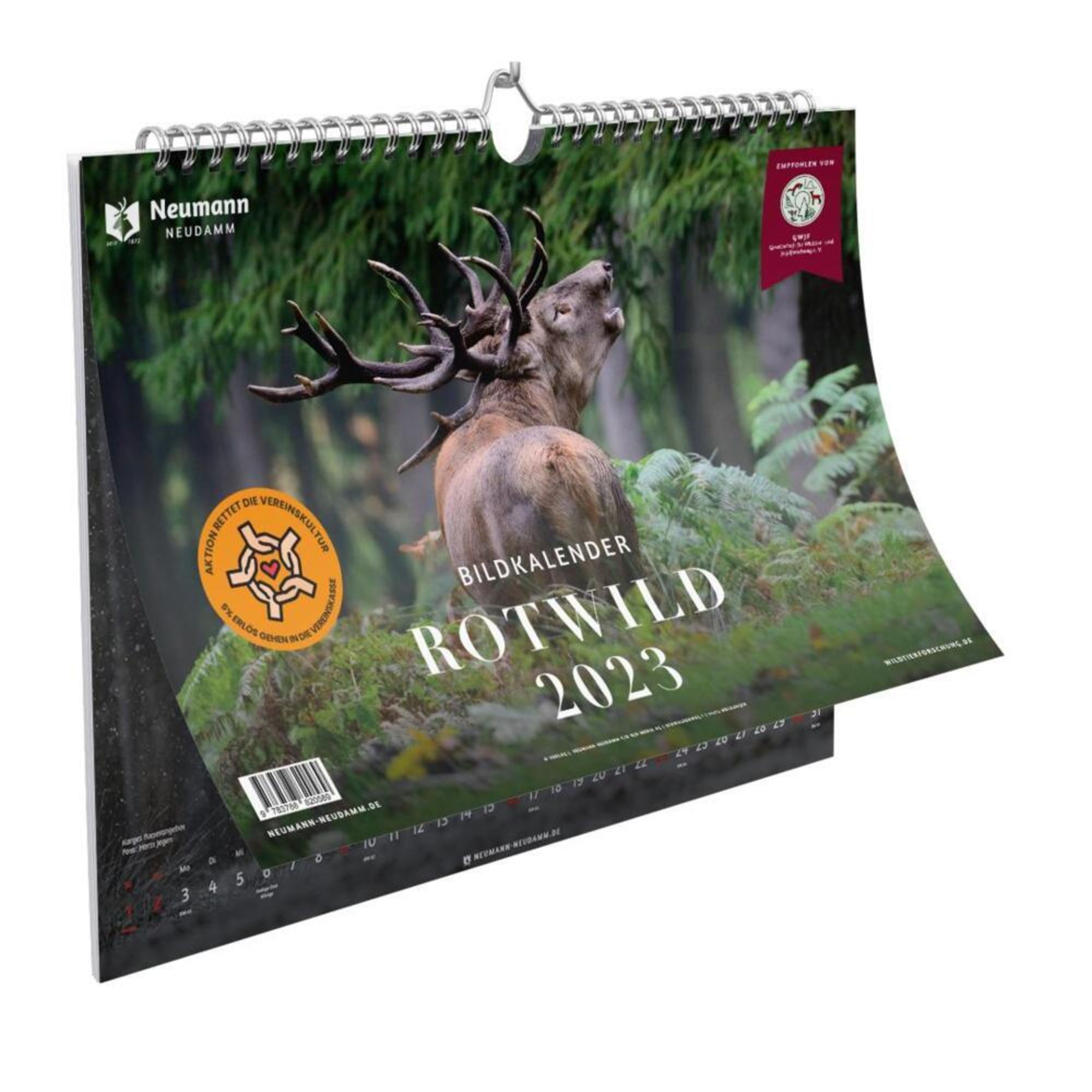 Rotwild Bildkalender 2023 Von Verlag Neumann Neudamm Kalender Orell Füssli 6458