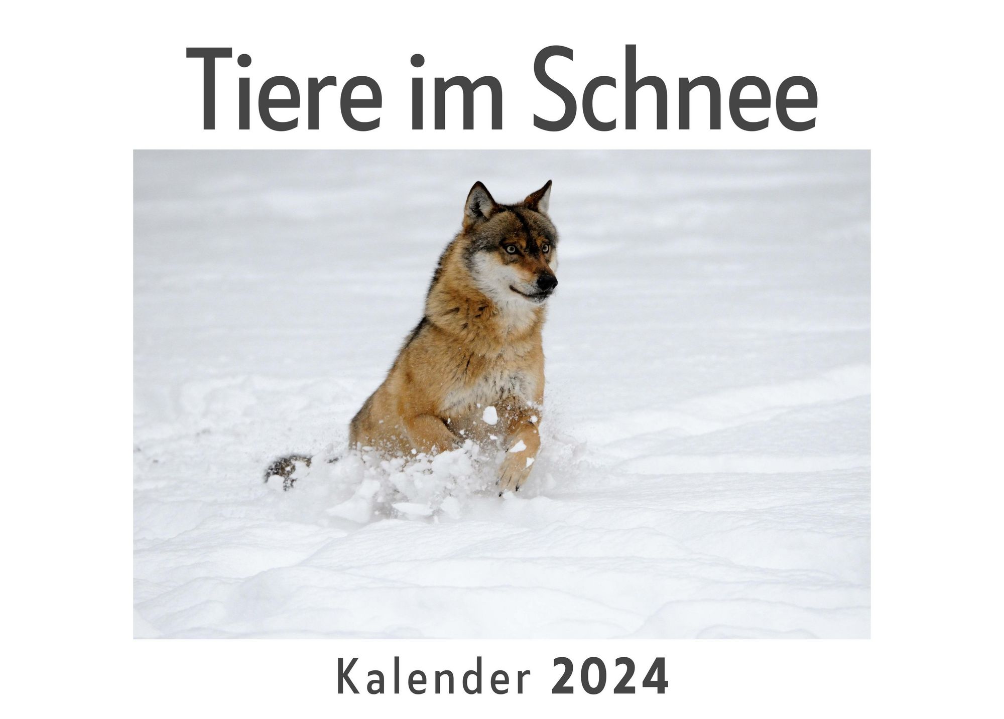 Schner Kalender 2024