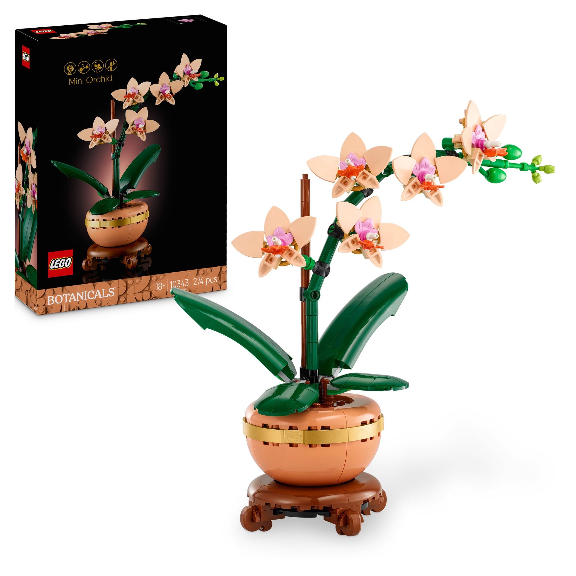 LEGO Botanicals 10343 Mini-Orchidee, Kunstblumen Set fr Erwachsene - Jetzt  Spielzeug bei bcher.de bestellen