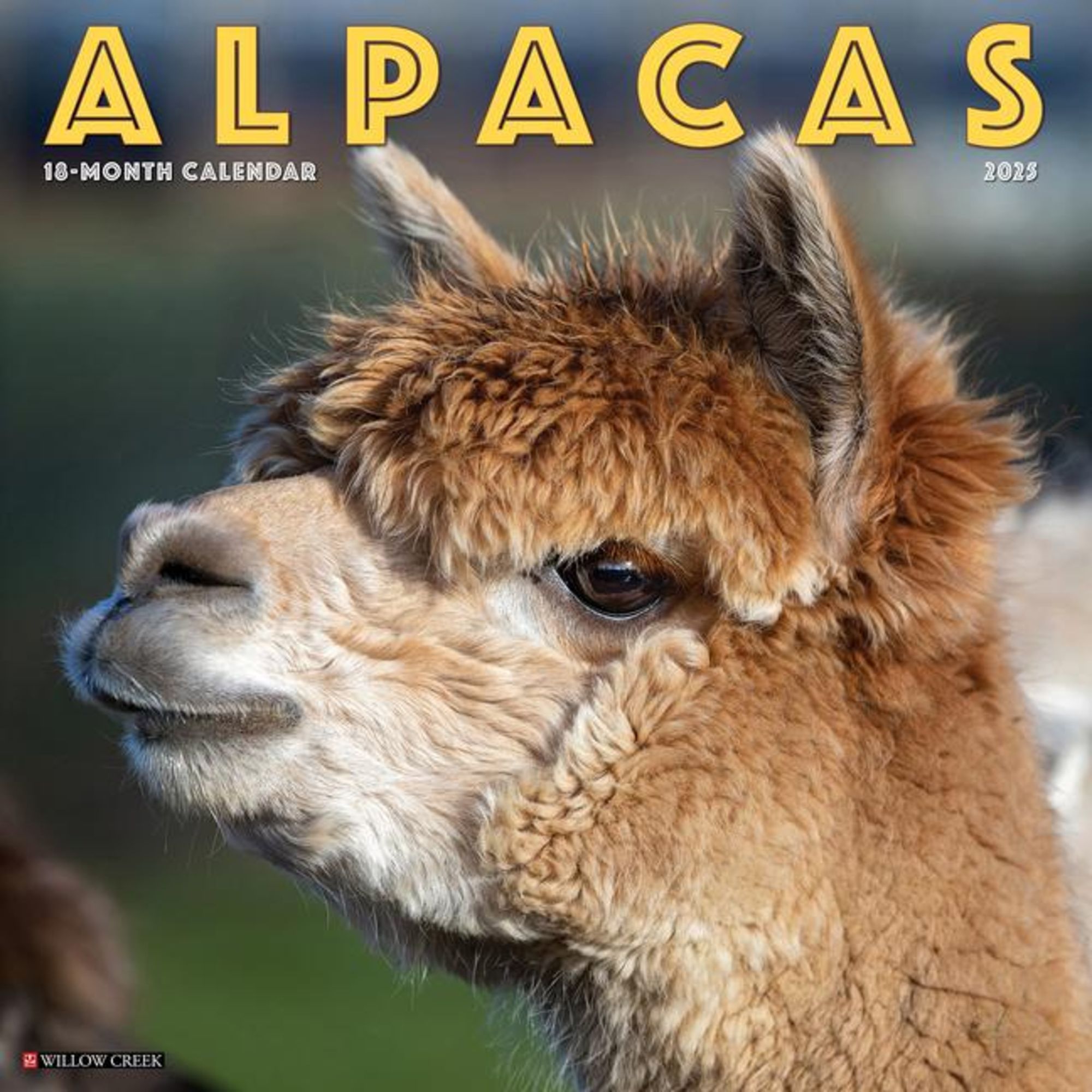 'Alpacas 2025 12 X 12 Wall Calendar' 'Tierkalender'