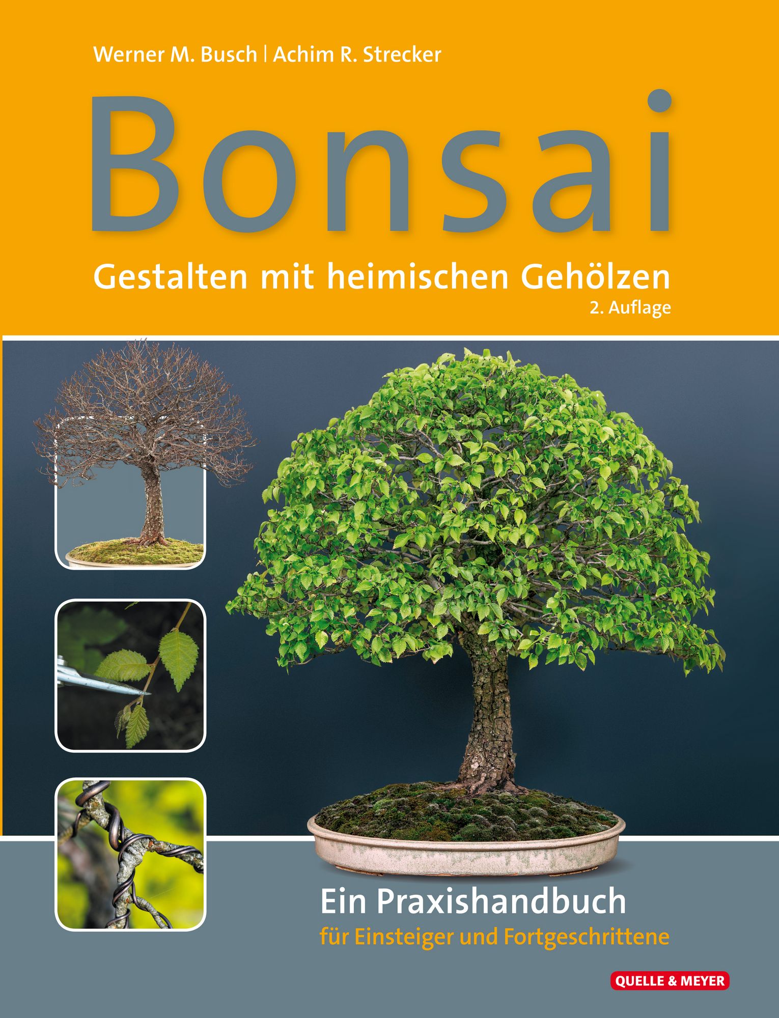 Bonsai - Gestalten mit heimischen Gehlzen" online kaufen