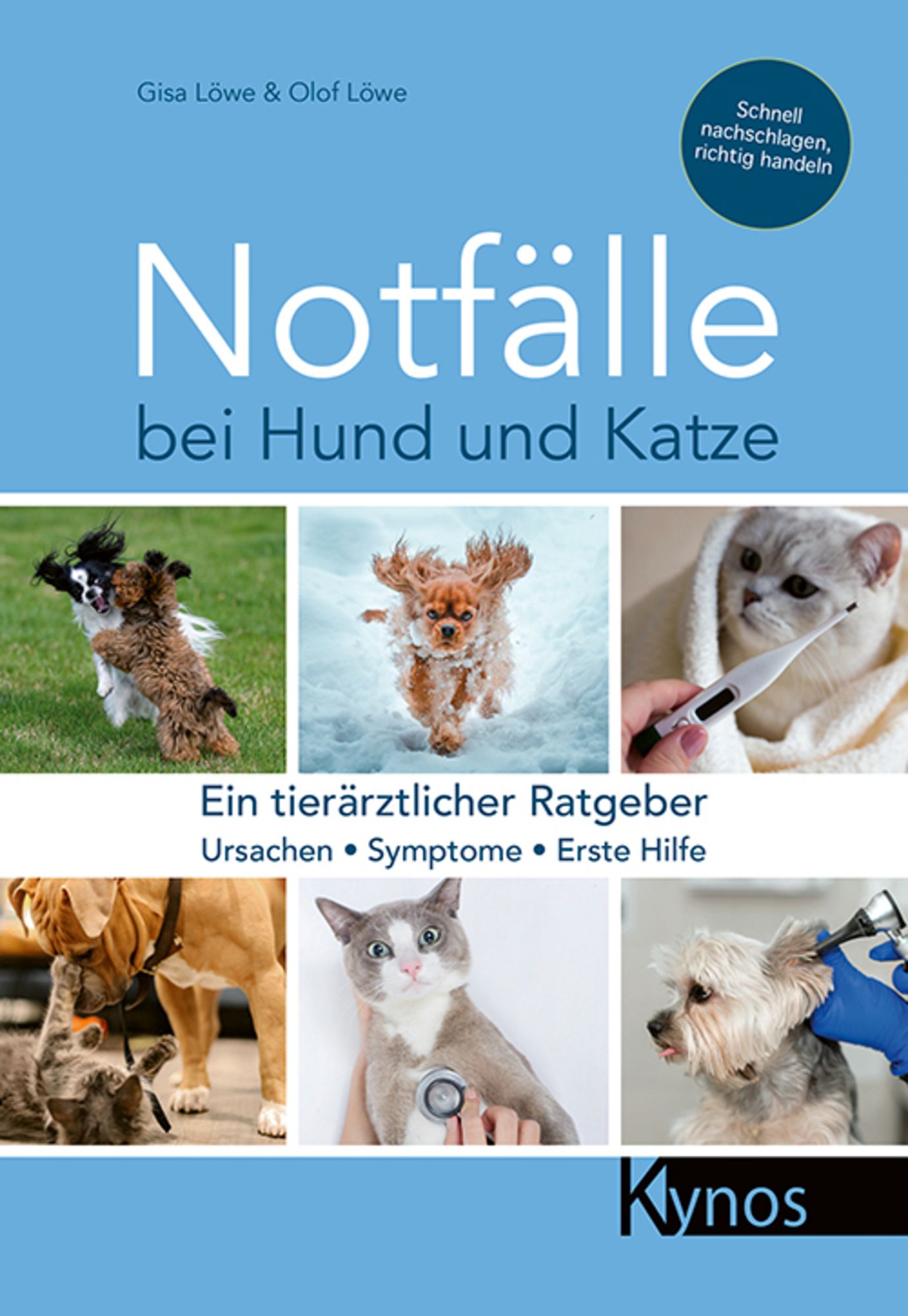 Notfälle bei Hund Katze' von 'Gisa & Olof Löwe' - Buch - '978-3-95464-268-7'
