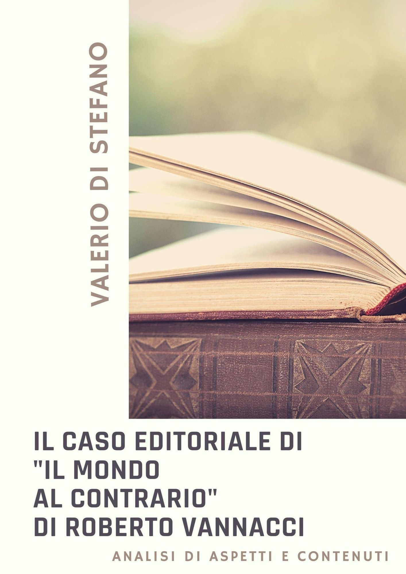 Il caso editoriale di Il mondo al contrario di Roberto Vannacci' von  'Valerio Di Stefano' - eBook