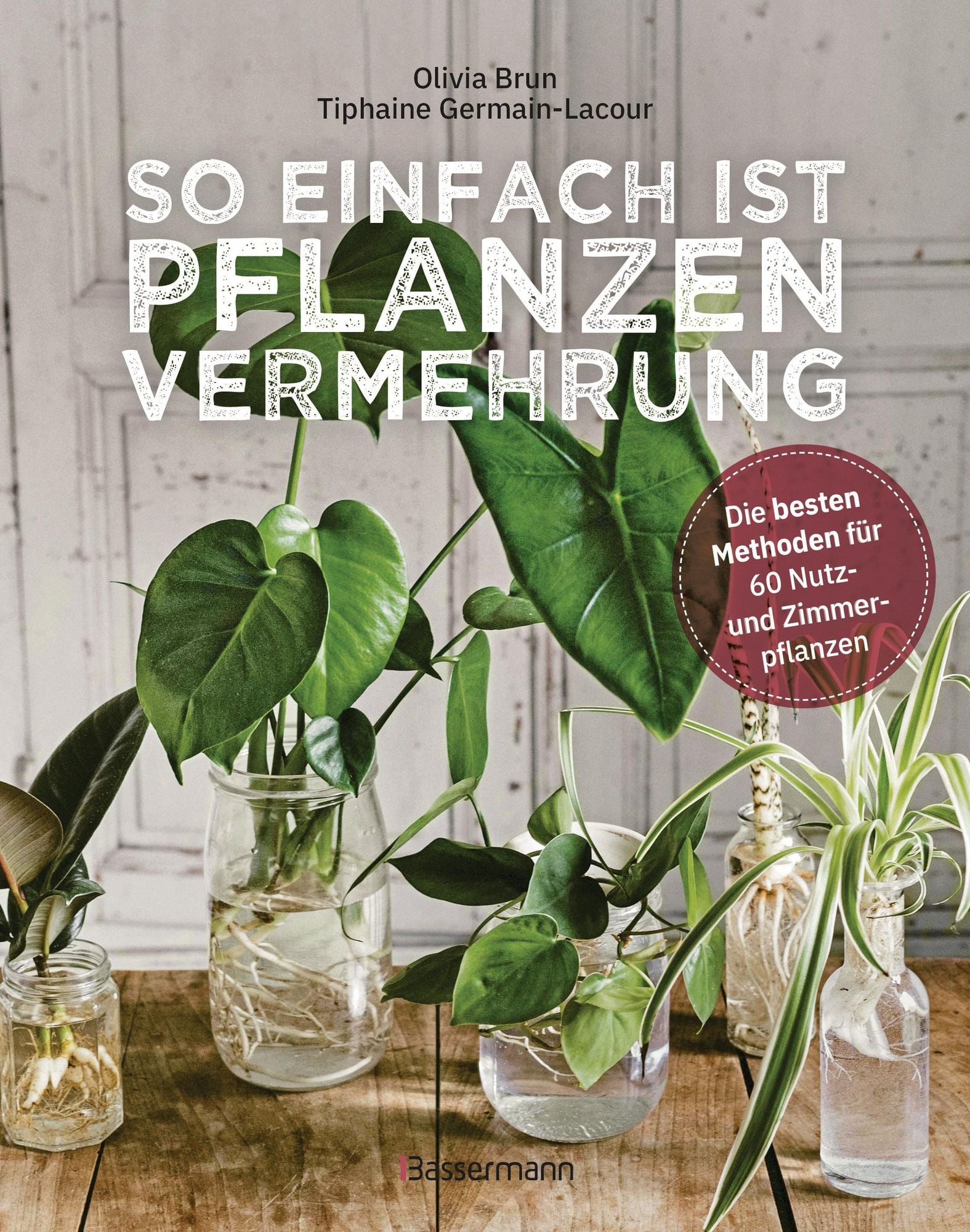 So einfach ist Pflanzenvermehrung. Die besten Methoden fr 60 Nutz- und  Zimmerpflanzen." als eBook kaufen