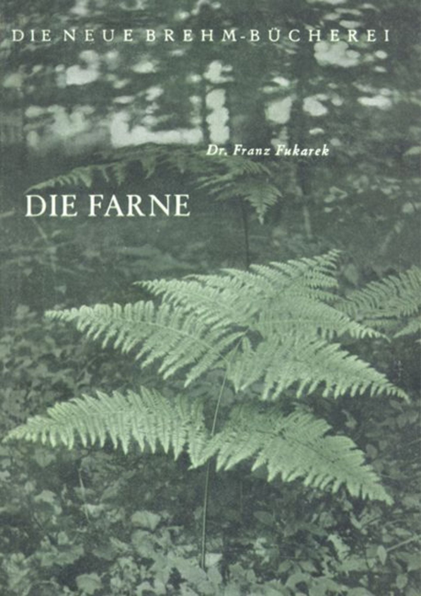 "Die Farne" online kaufen