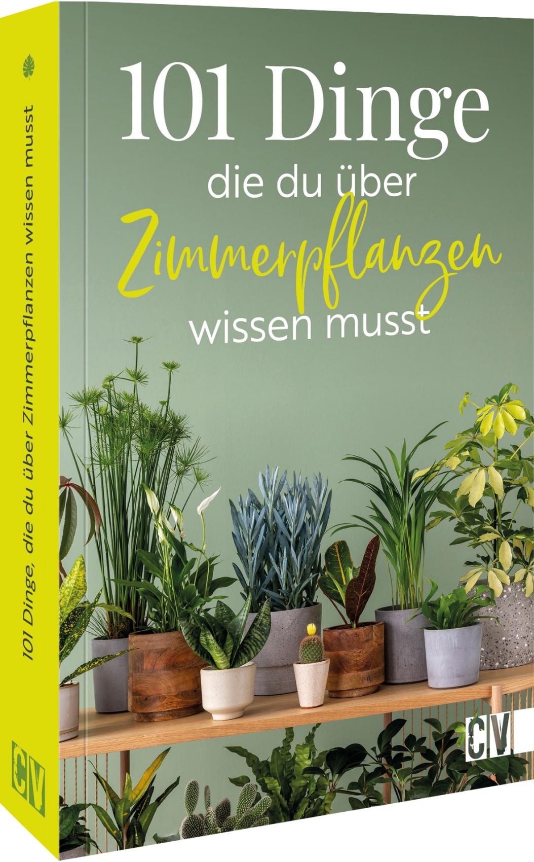 bewsserungssystem zimmerpflanzen aldi Pflanzenset Der Bltterchor kaufen