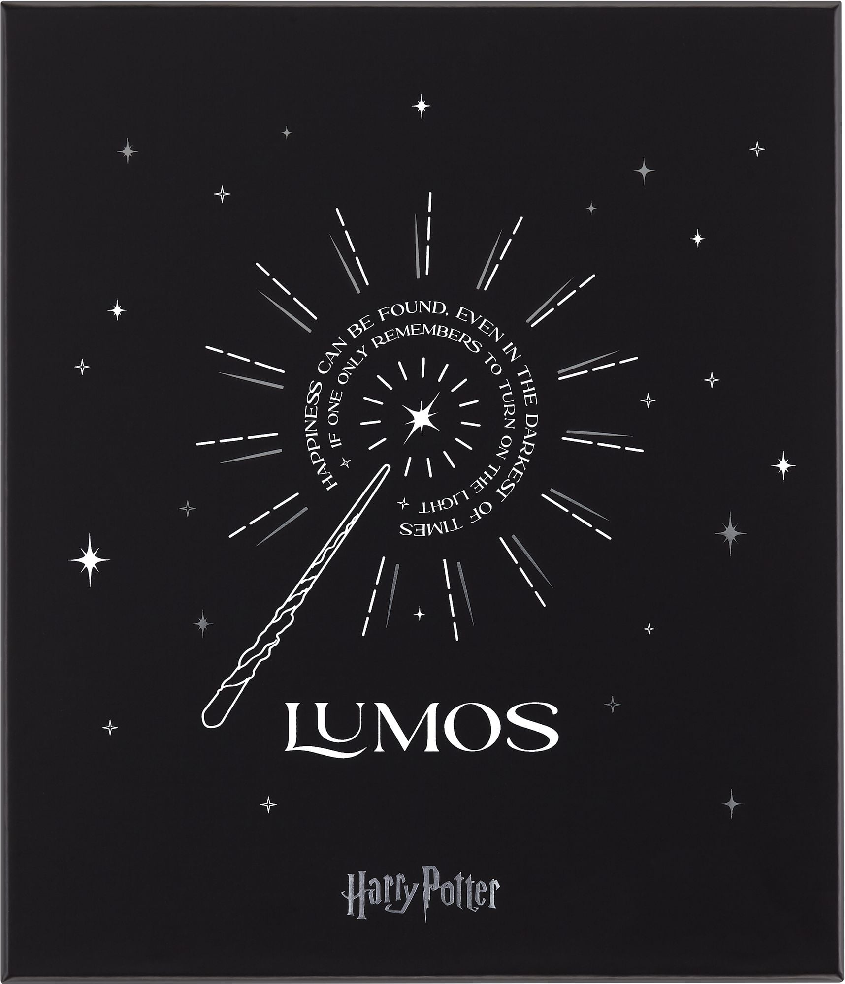 Harry Potter Notizbuch Set Wingardium mit Kaweco Roll Pen