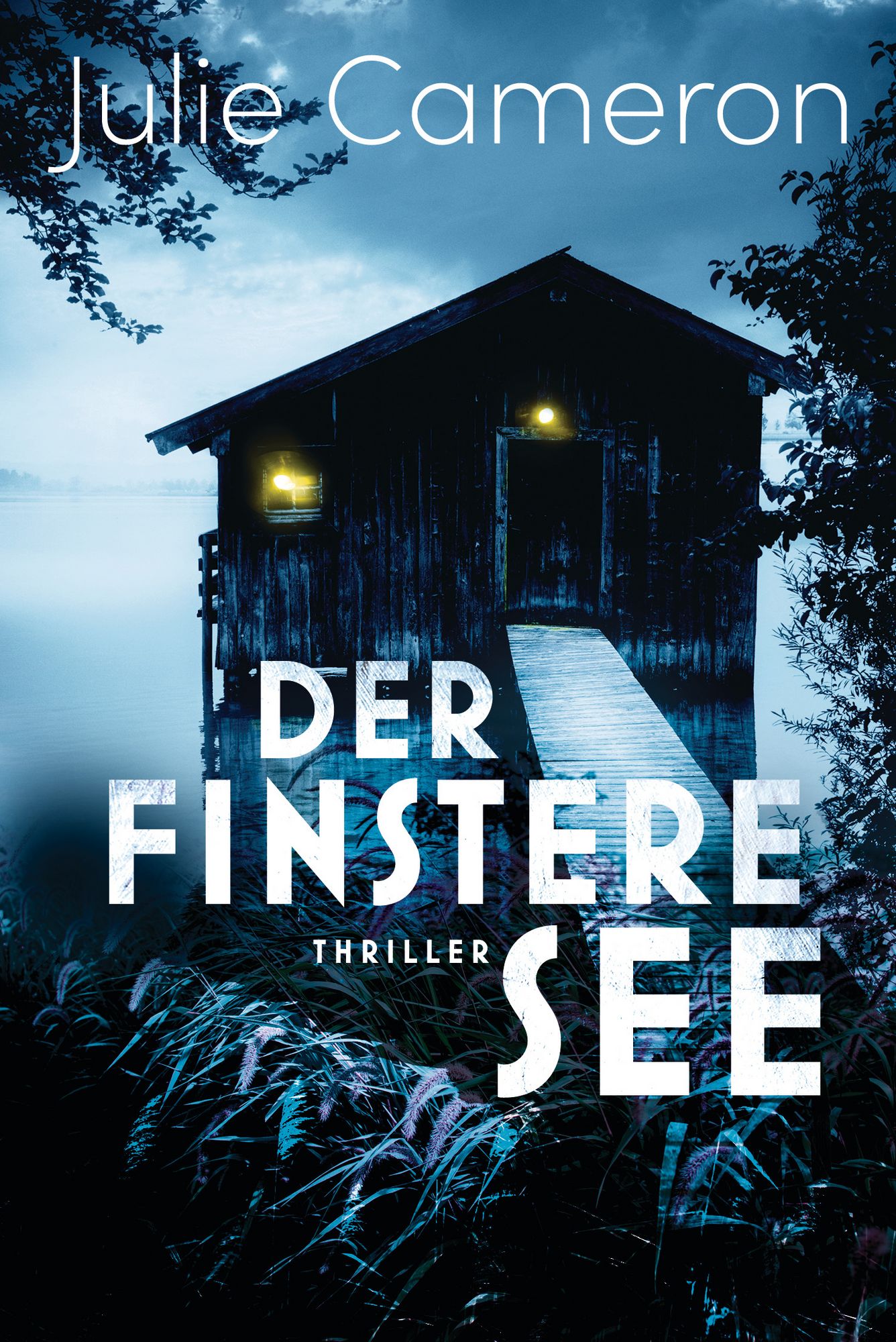 'Der finstere See' von 'Julie Cameron' Buch '9783442493876'