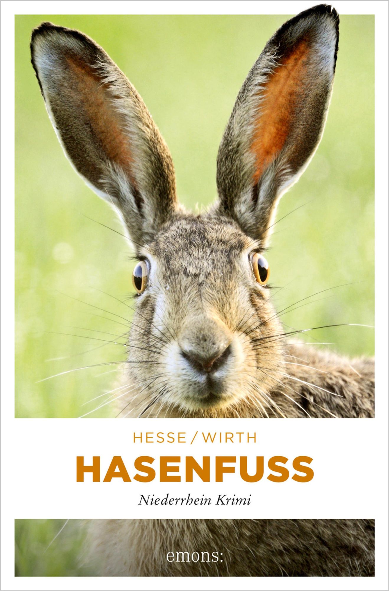 Hasenfuß von Thomas Hesse - eBook