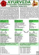 'Ayurveda Die drei Doshas "Konstitutionstypen" Medizinische Taschen