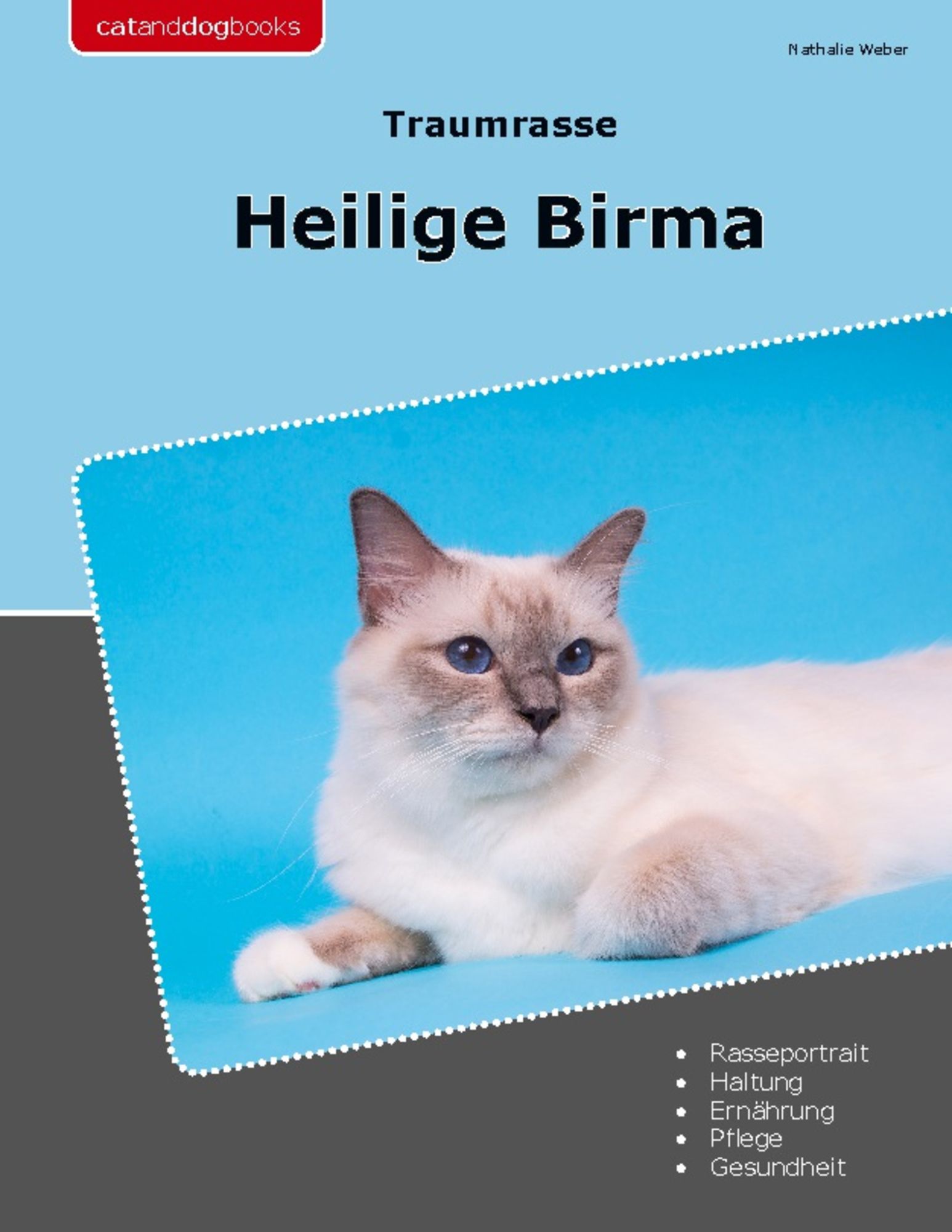 Heilige Birma Kitten allerliebstes Katerchen ab sofort top abzugeben