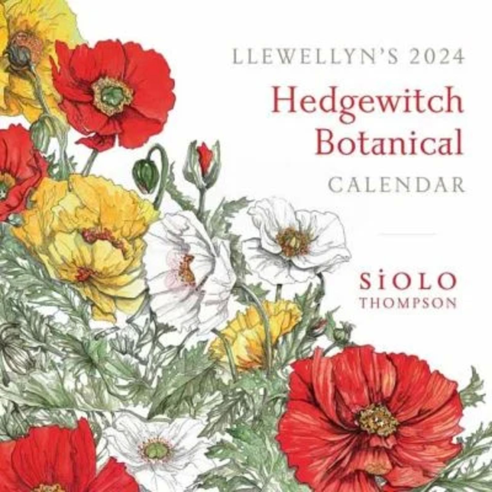 'Llewellyn's 2024 Hedgewitch Botanical Calendar' 'Bücher'