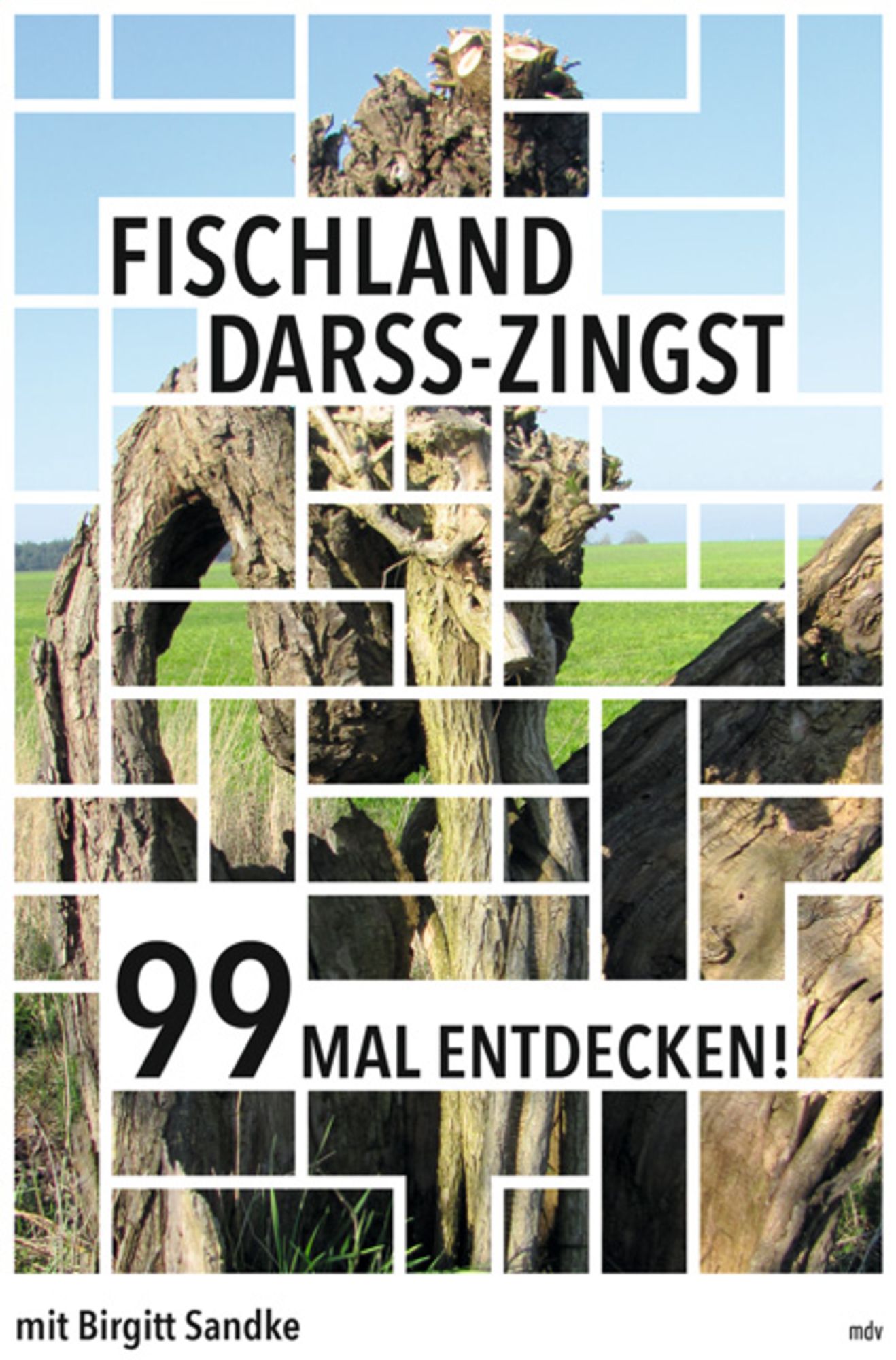"FischlandDarßZingst" online kaufen