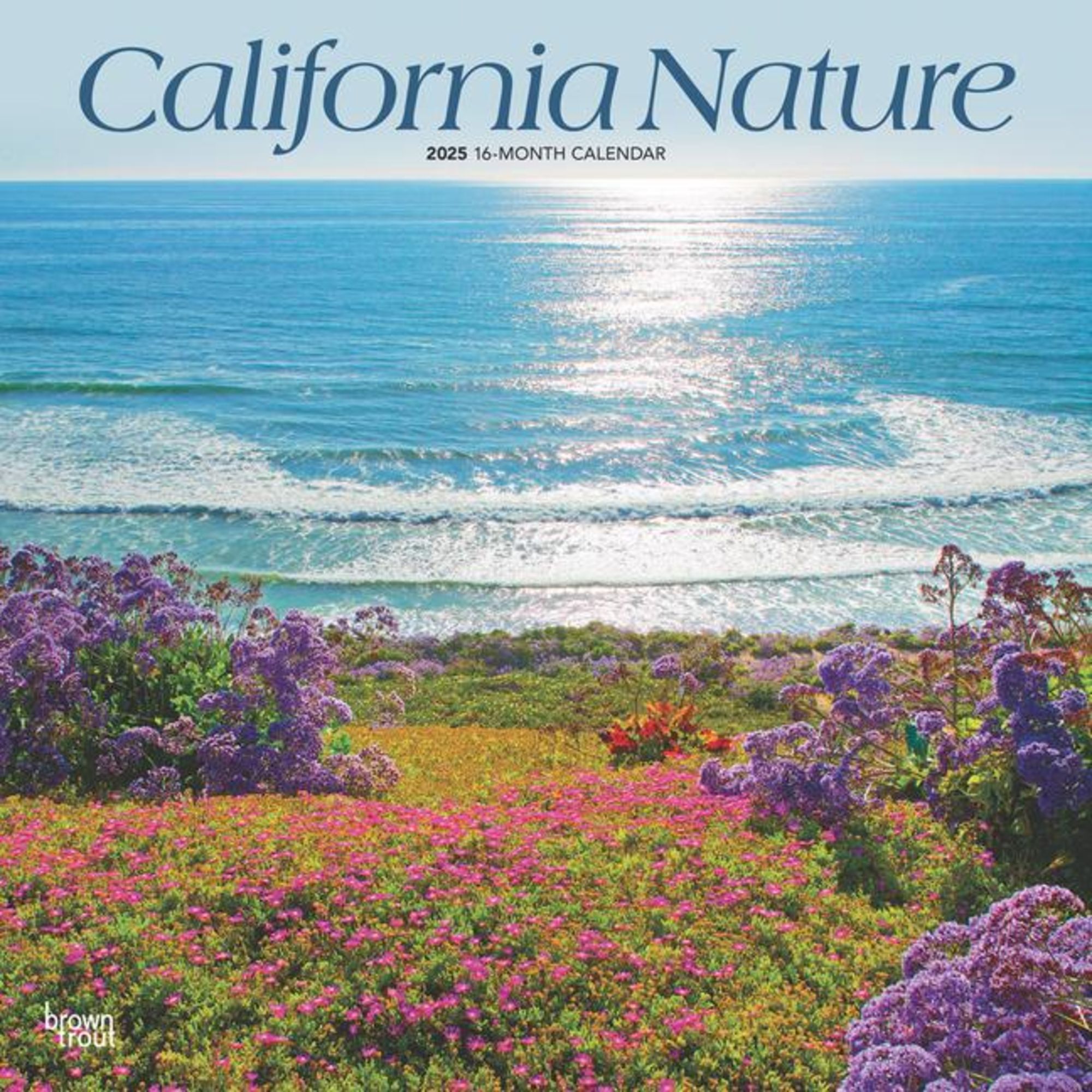 'California Nature 2025 12 X 24 Inch Monthly Square Wall Calendar