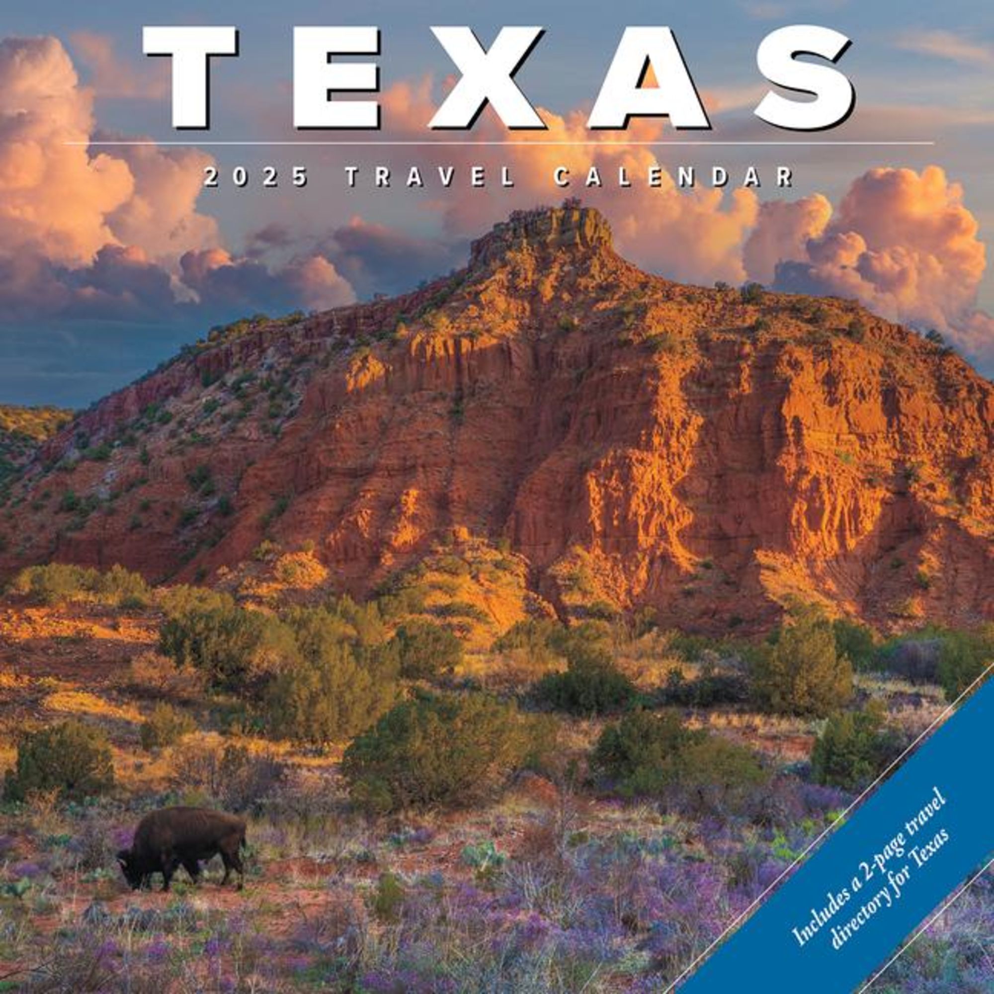 'Texas 2025 12 X 12 Wall Calendar' 'Bücher'