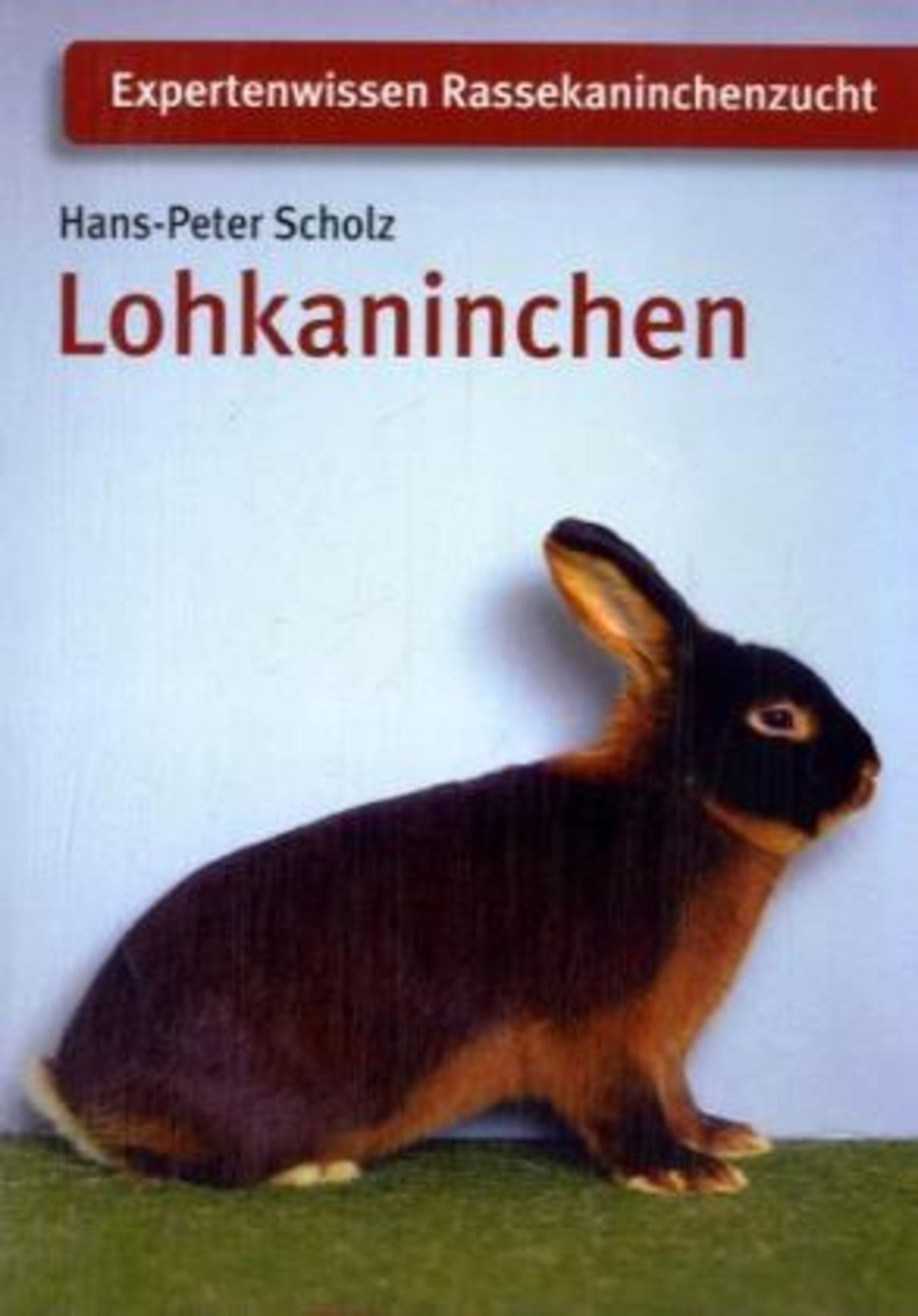 Lohkaninchen von Hans P. Scholz - Buch - 978-3-88627-737-7