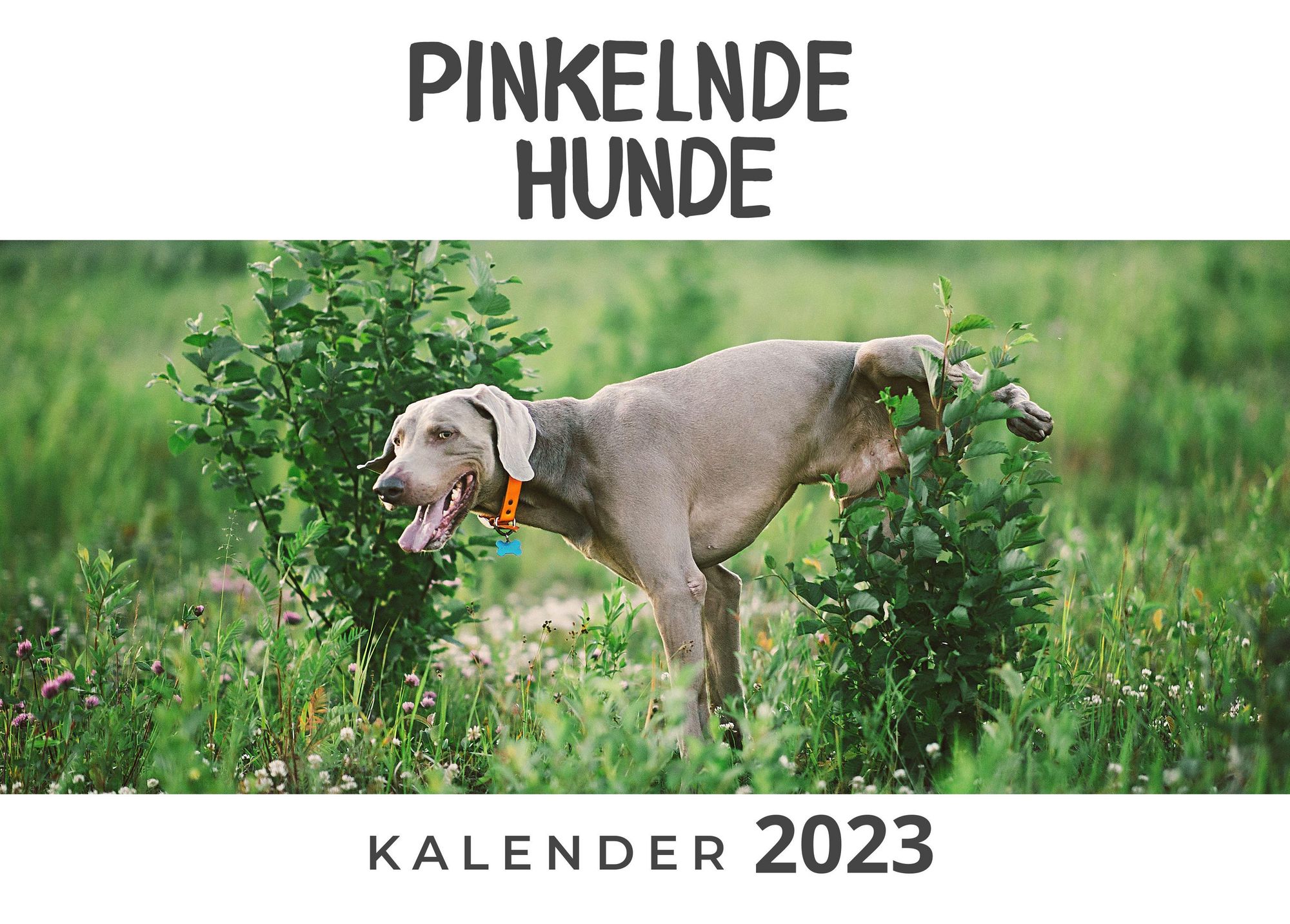 Pinkelnde Hunde Wandkalender Thalia