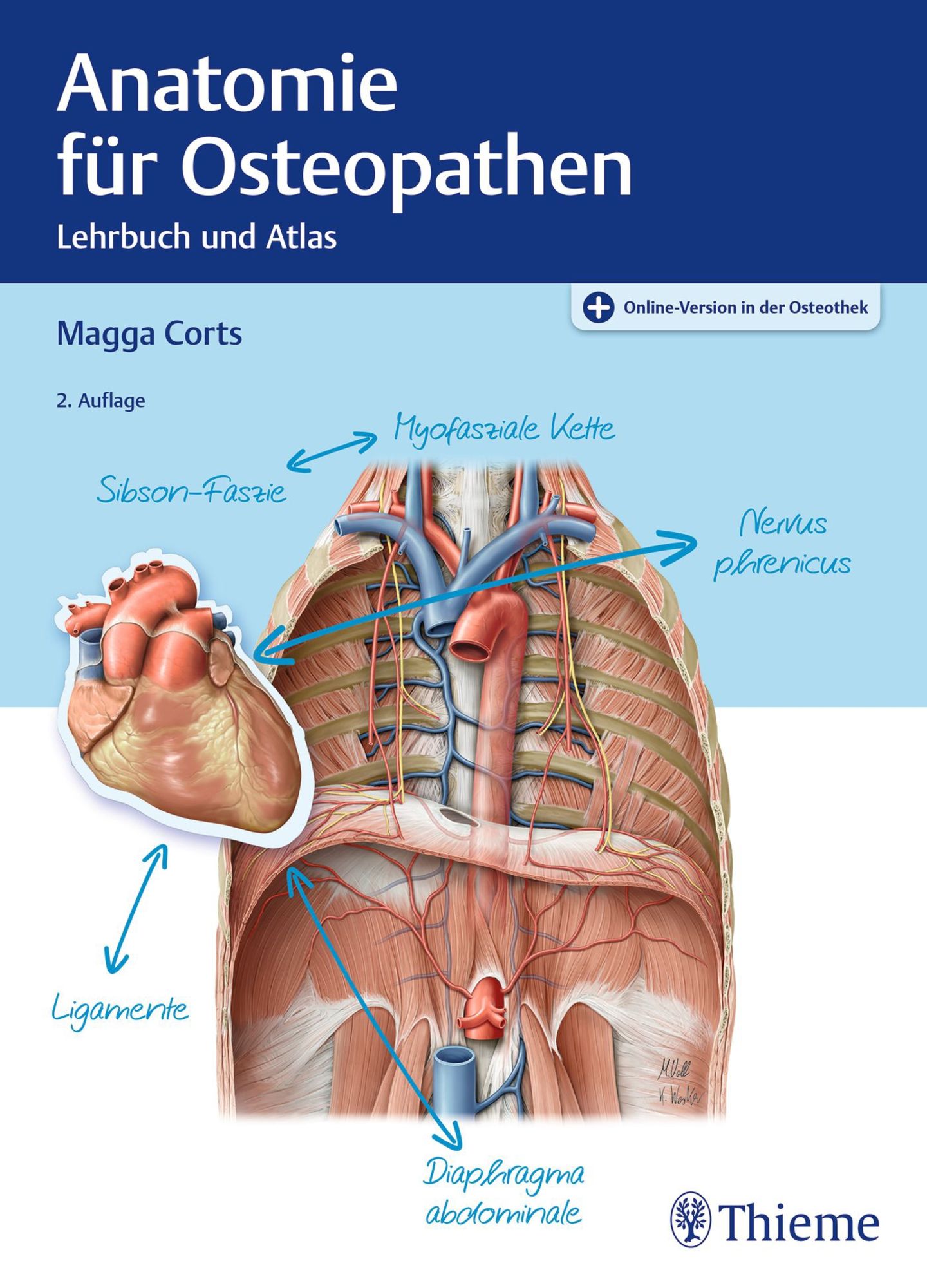 Atlas der Anatomie, on sale Fachbuch Medizin Physiotherapie