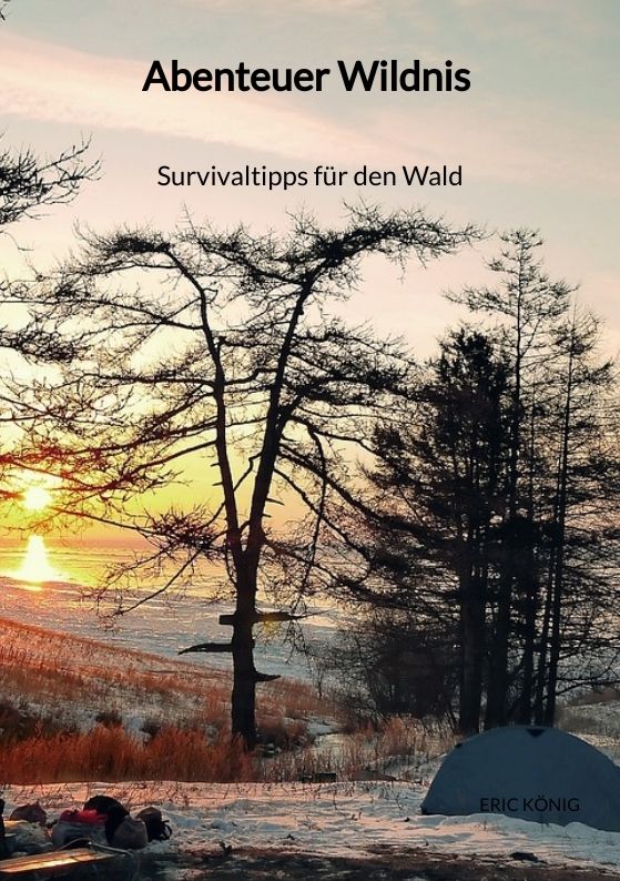 100 Days Wild - Das Survival-abenteuer "Abenteuer Wildnis - Survivaltipps für den Wald" online kaufen