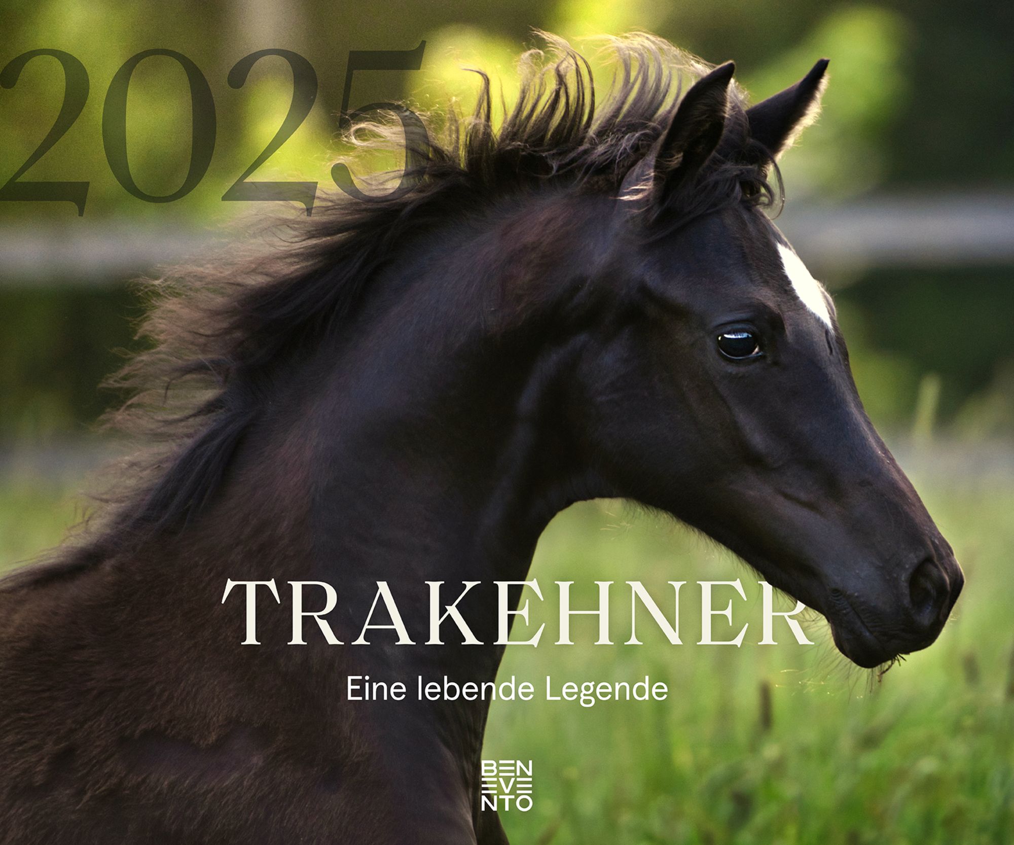 'Trakehner 2025' - 'Sportkalender'