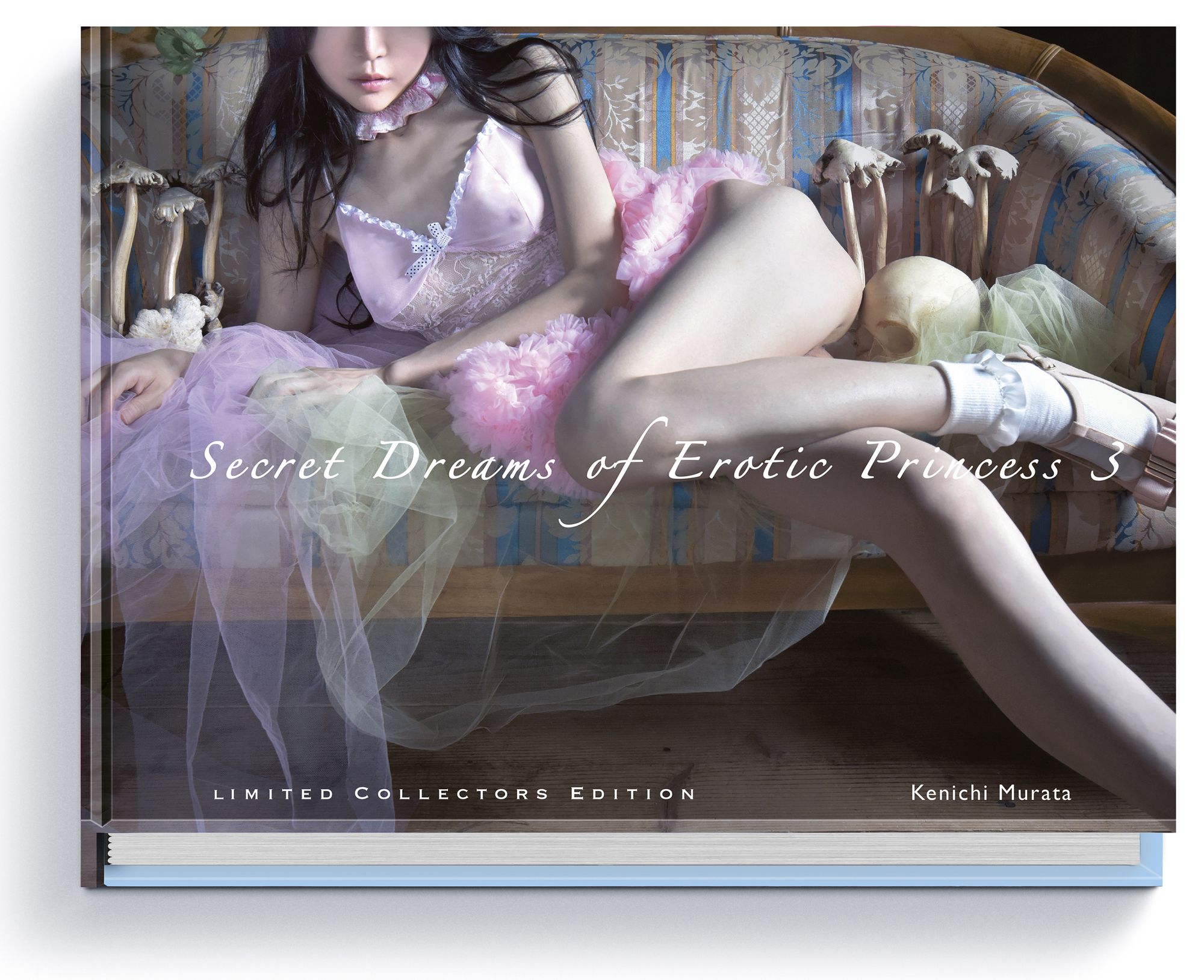 Secret Dreams of Erotic Princess by Murata, Kenichi: New