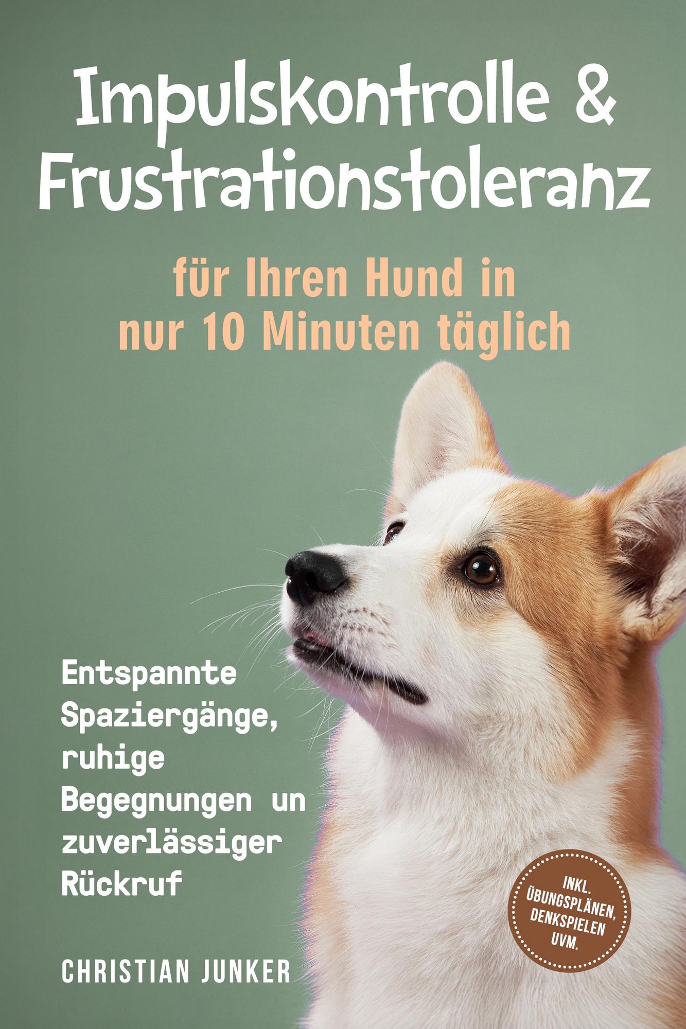 anal plug kette Wann Hundemäntel sinnvoll sind main image 1