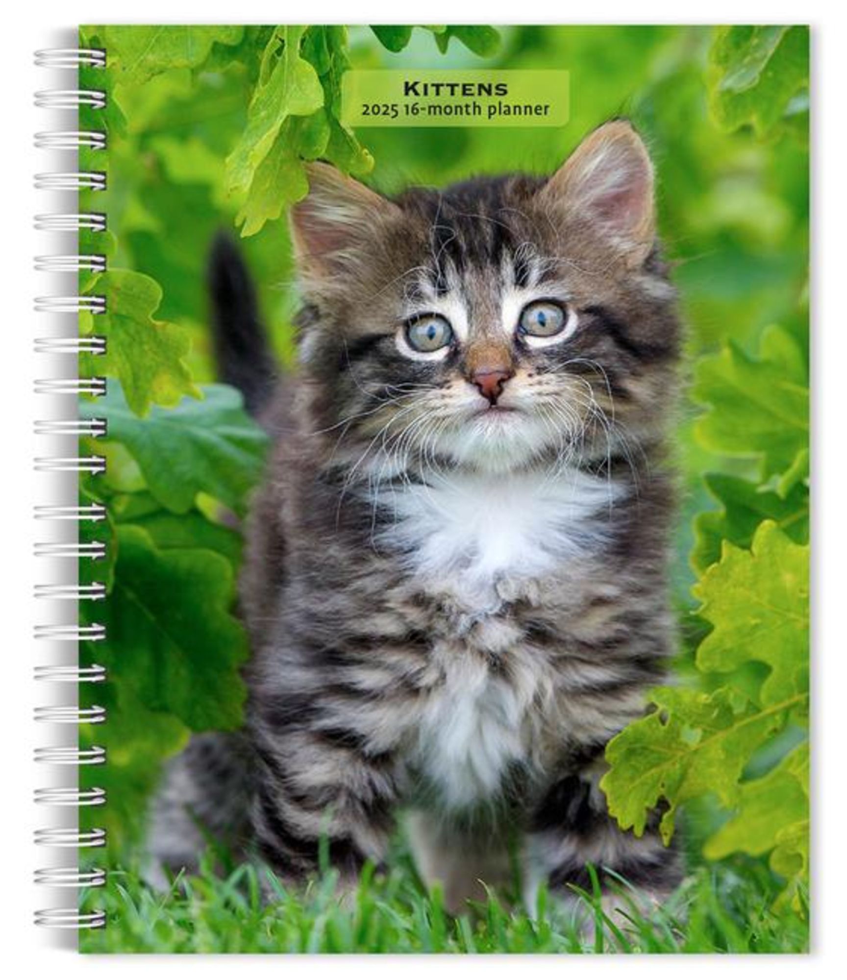 'Kittens 2025 6 X 7.75 Inch SpiralBound WireO Weekly Engagement