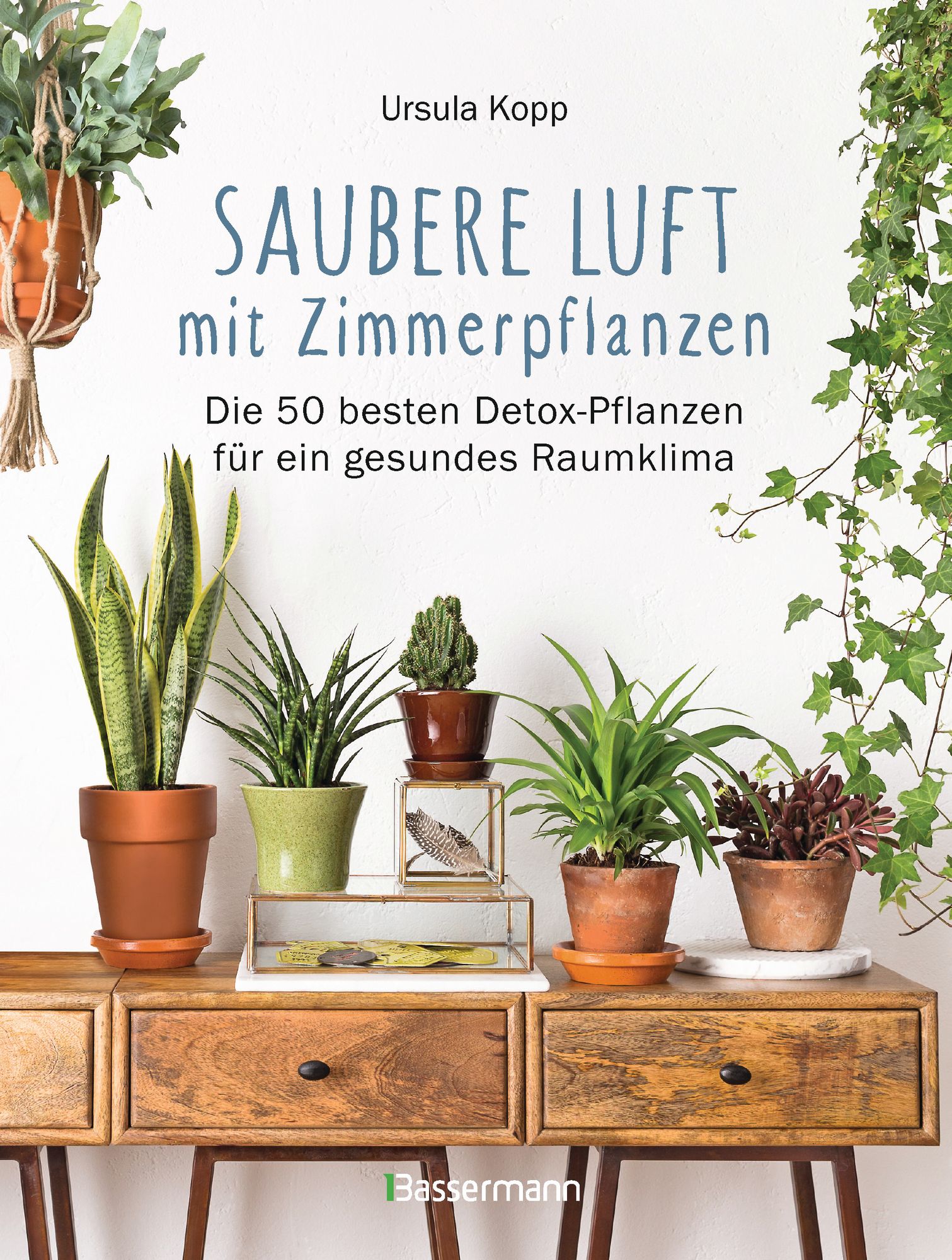 "Saubere Luft mit Zimmerpflanzen" online kaufen