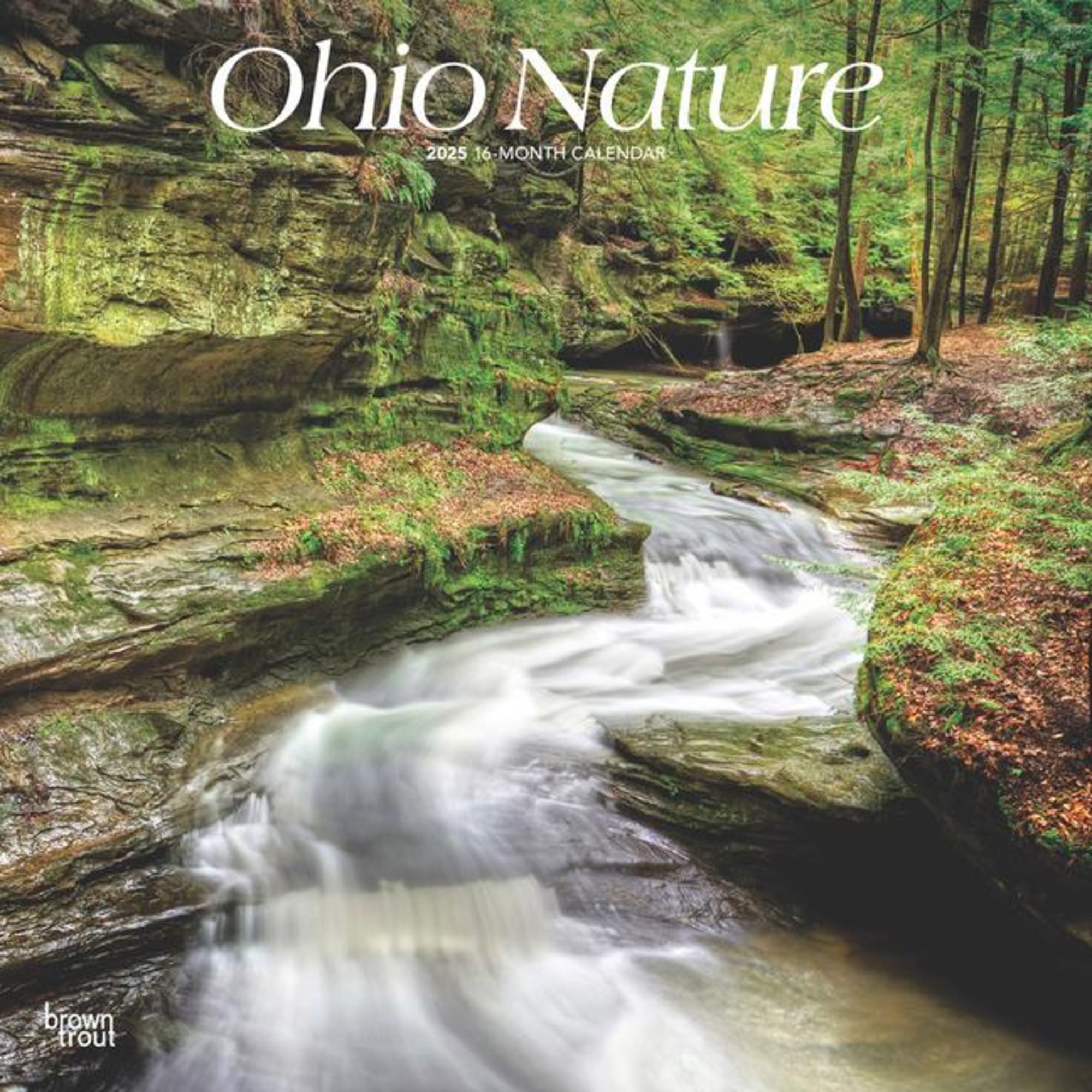 'Ohio Nature 2025 12 X 24 Inch Monthly Square Wall Calendar Plastic