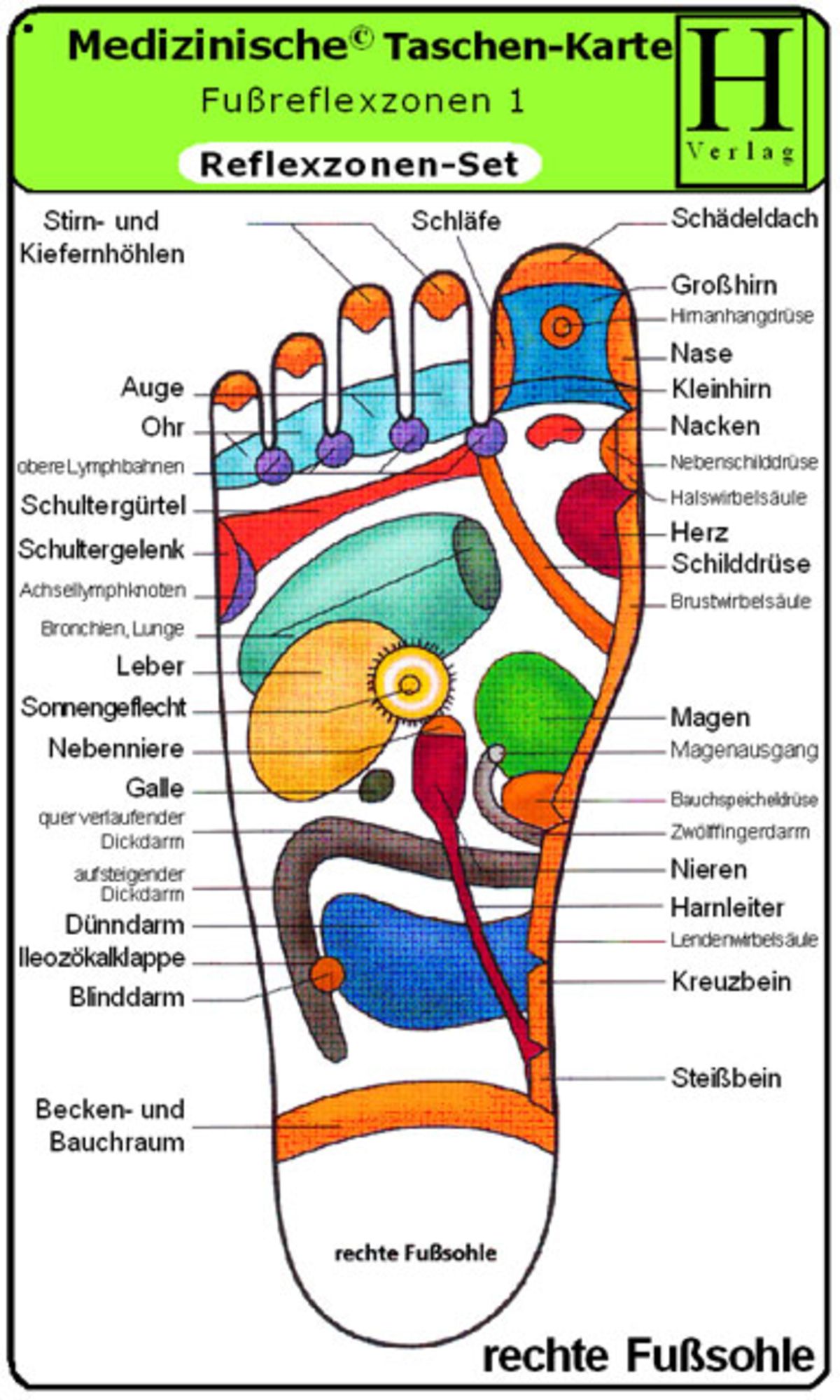 Reflexzonen Set - Medizinische Taschen-Karte von  - Buch -  978-3-939081-00-5