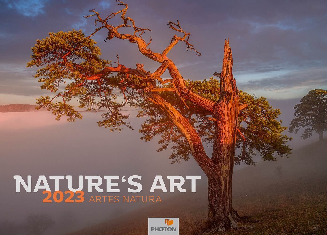 NATURE`S ART Kalender 2023 von Martin Mägli. Kalender Orell Füssli