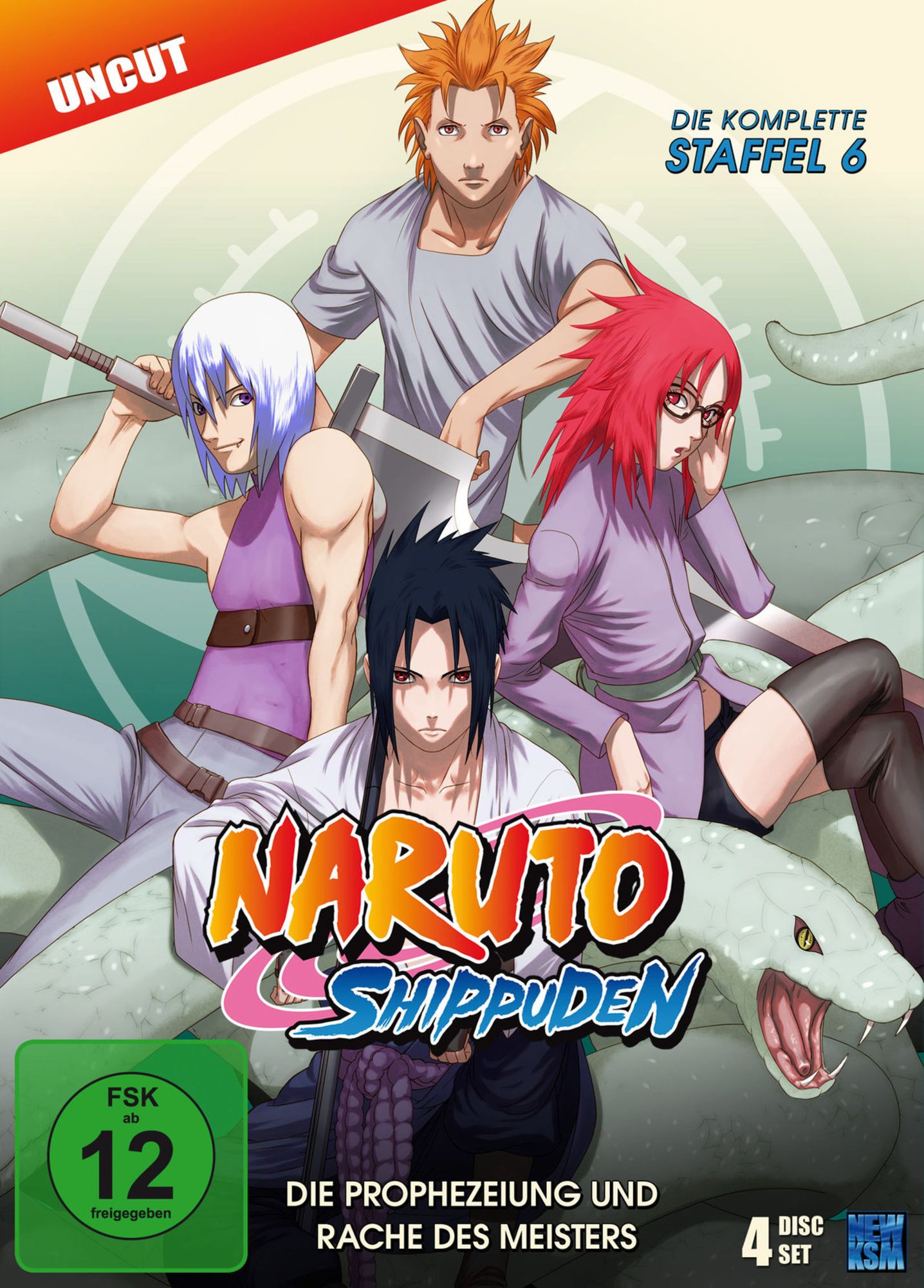 Naruto Shippuden Box6 DVD [DVD]