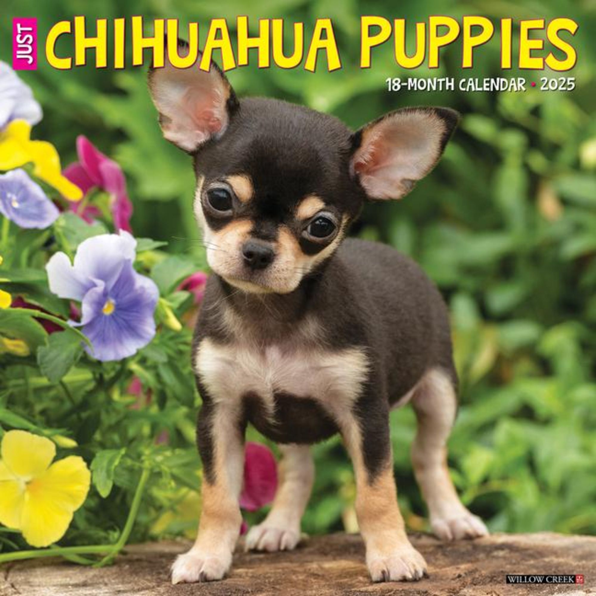 'Just Chihuahua Puppies 2025 12 X 12 Wall Calendar' 'Tierkalender'