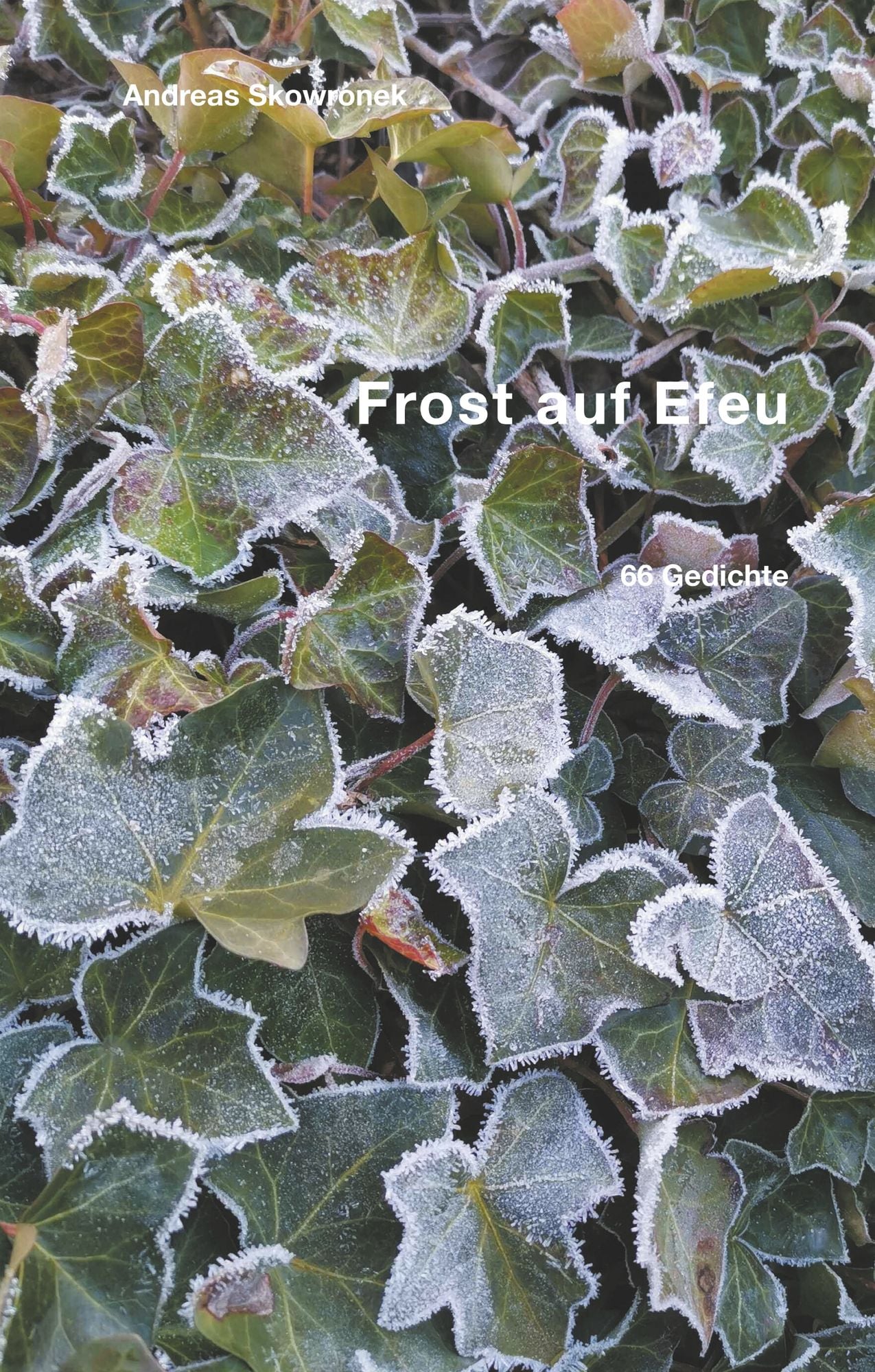 Frost auf Efeu" online kaufen