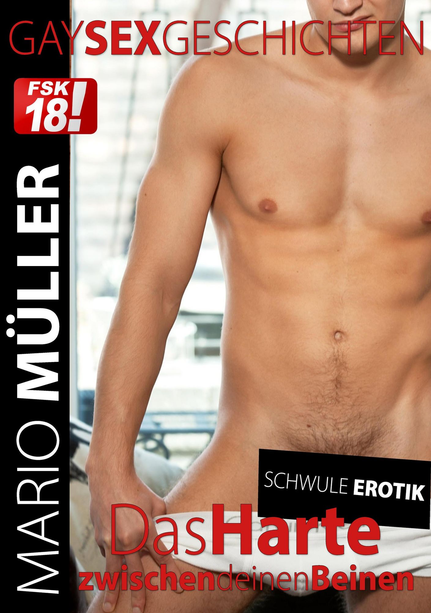 Gay Sex Geschichten ab 18 als eBook kaufen