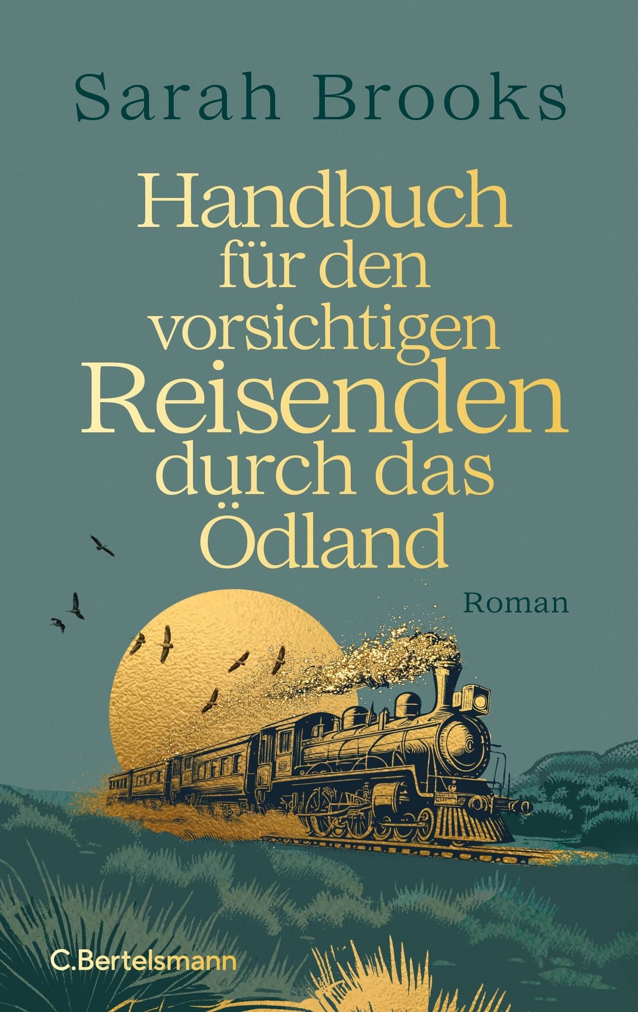 handbuch-fuer-den-vorsichtigen
